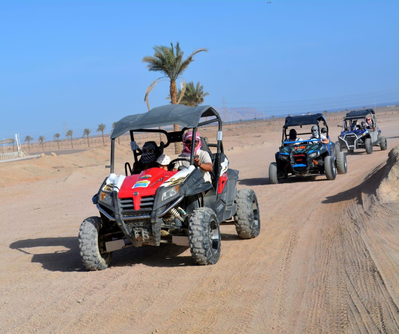 Sharm El-Sheikh Desert Safari: ATV Ride, Camel Trek, Stargazing & Bedouin BBQ