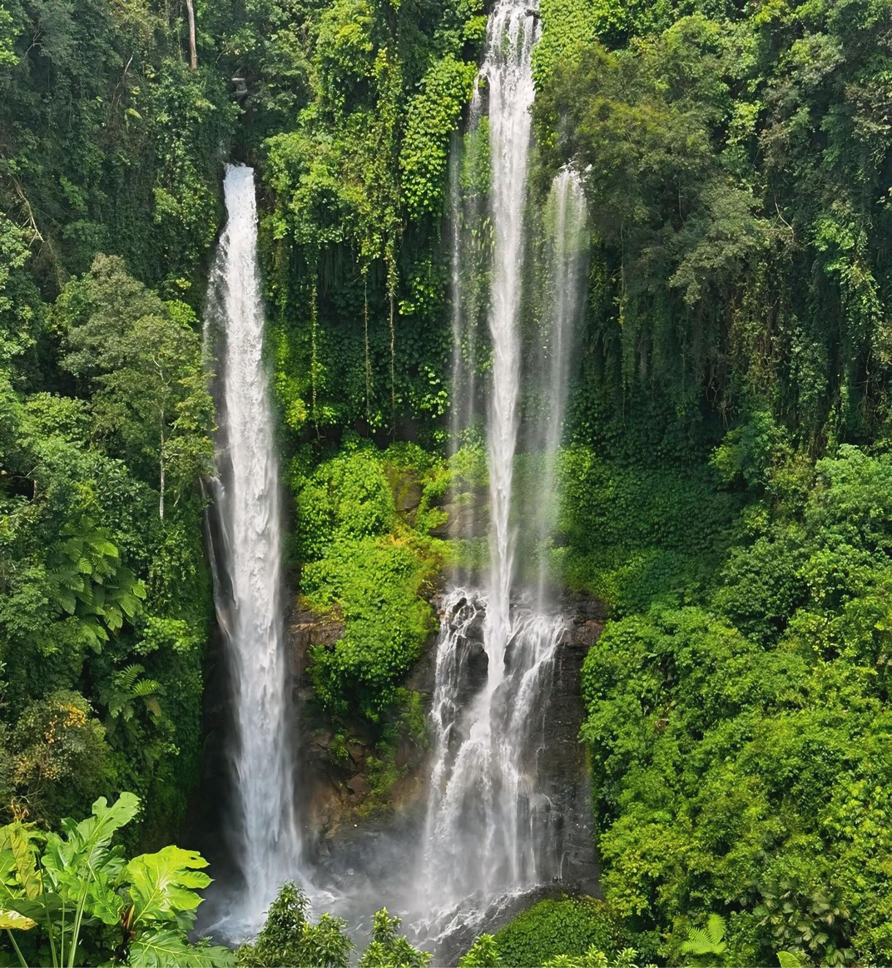 North Bali Waterfalls & Jatiluwih Rice Terraces