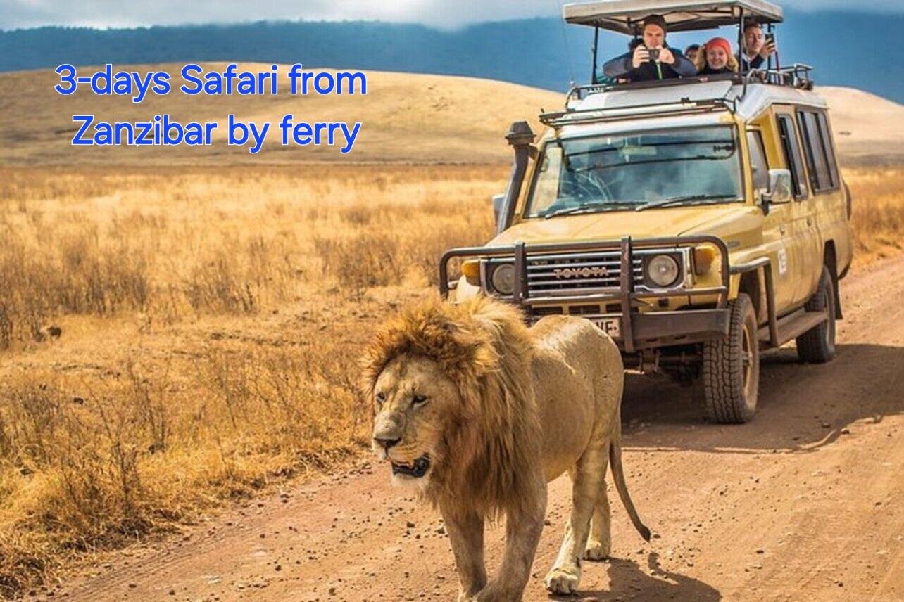 3-Day Zanzibar to Mikumi Safari by Ferry & Train