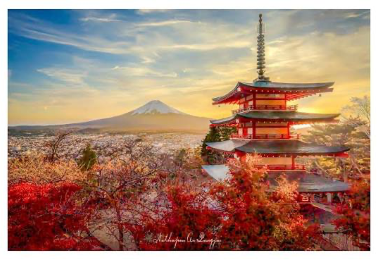 Private Mount Fuji & Hakone Guided Day Tour