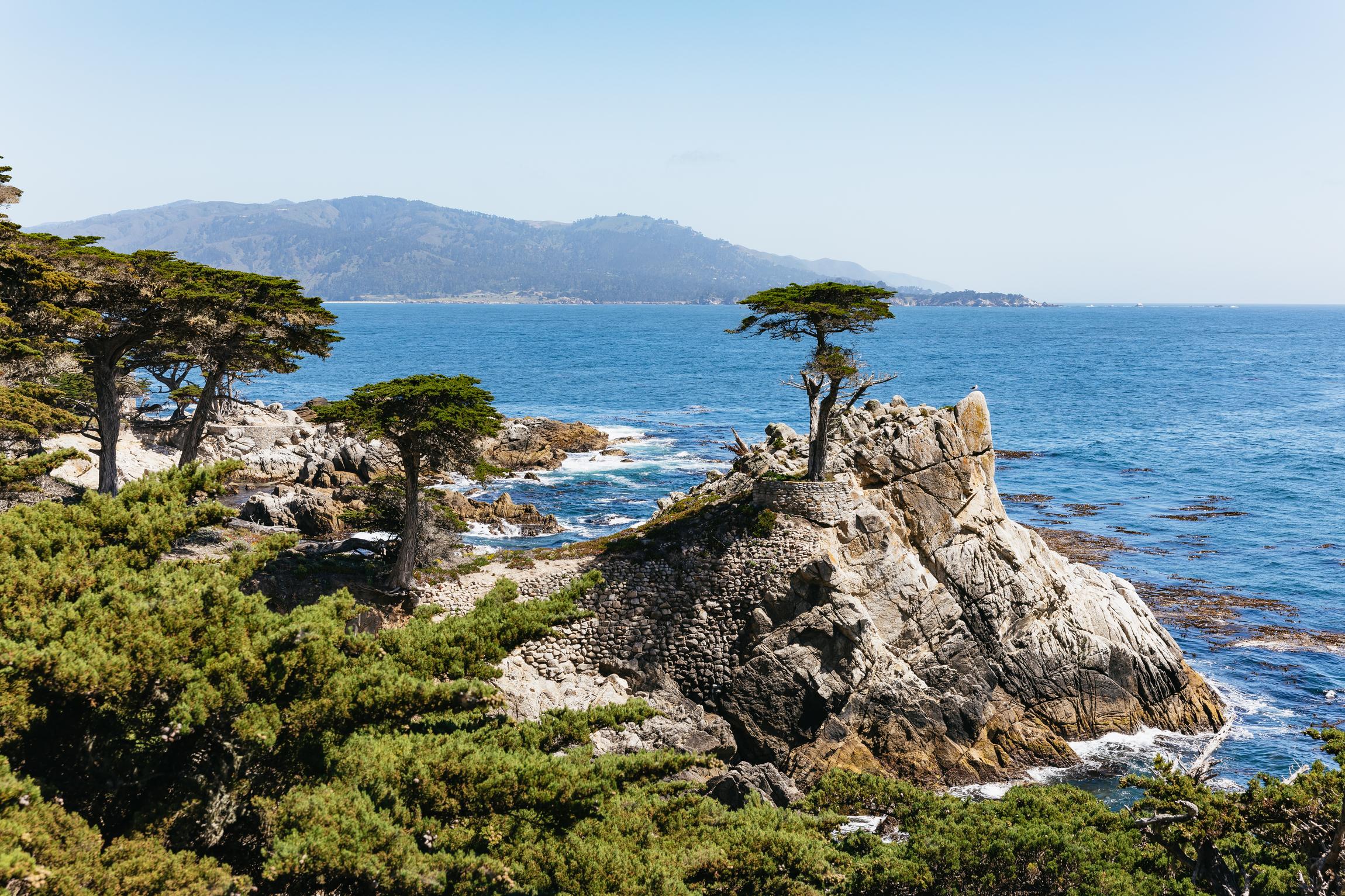 From San Francisco: Monterey, Carmel & 17-Mile Drive Coastal Day Trip