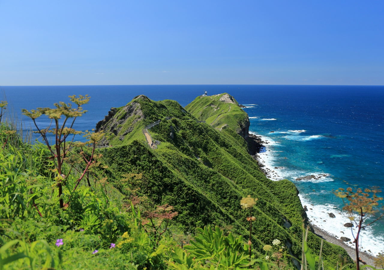 Cape Kamui, Yoichi & Otaru Full-Day Tour from Sapporo