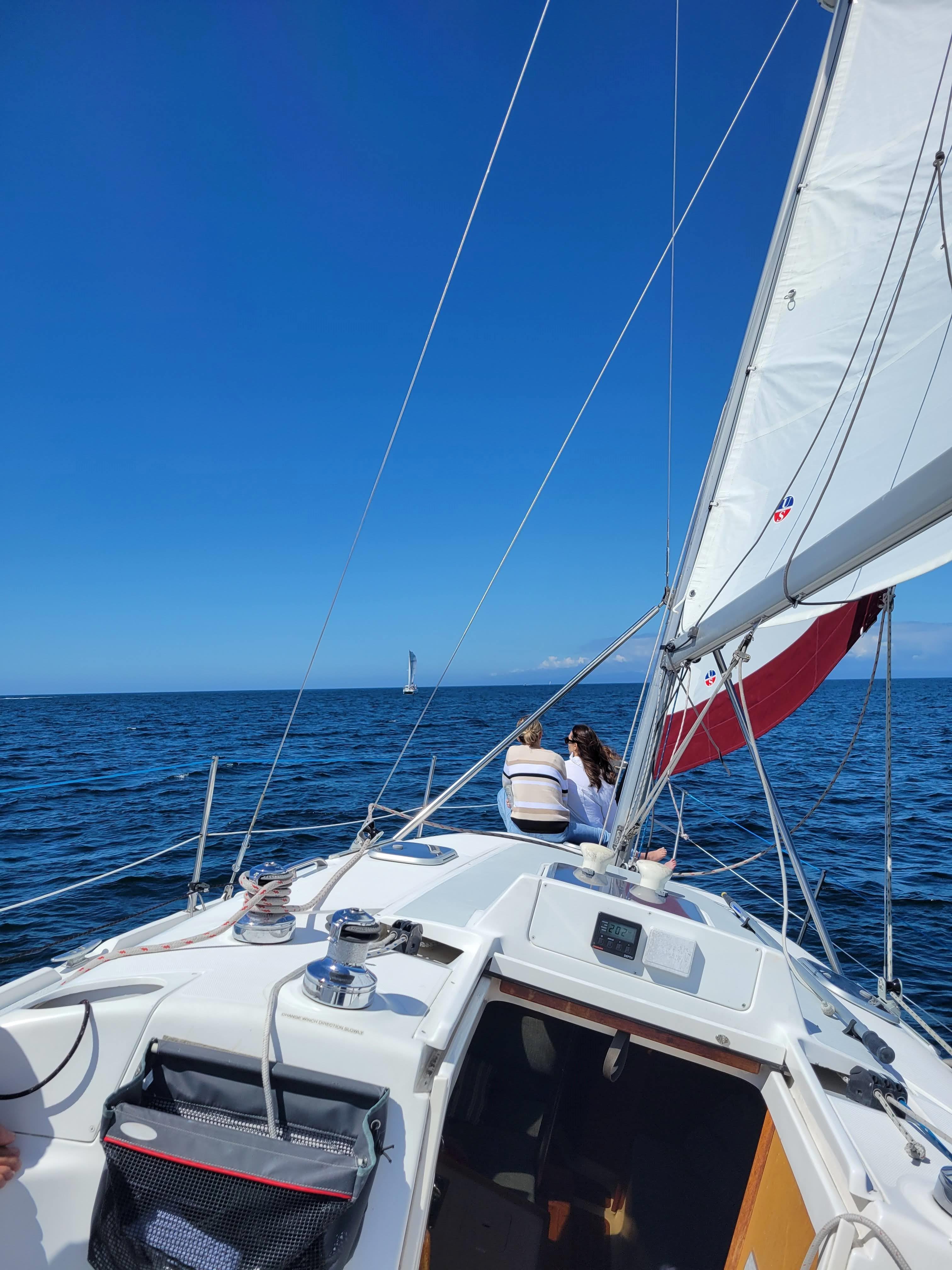 Monterey: Private Whale Watching and Sailing Tour for 6
