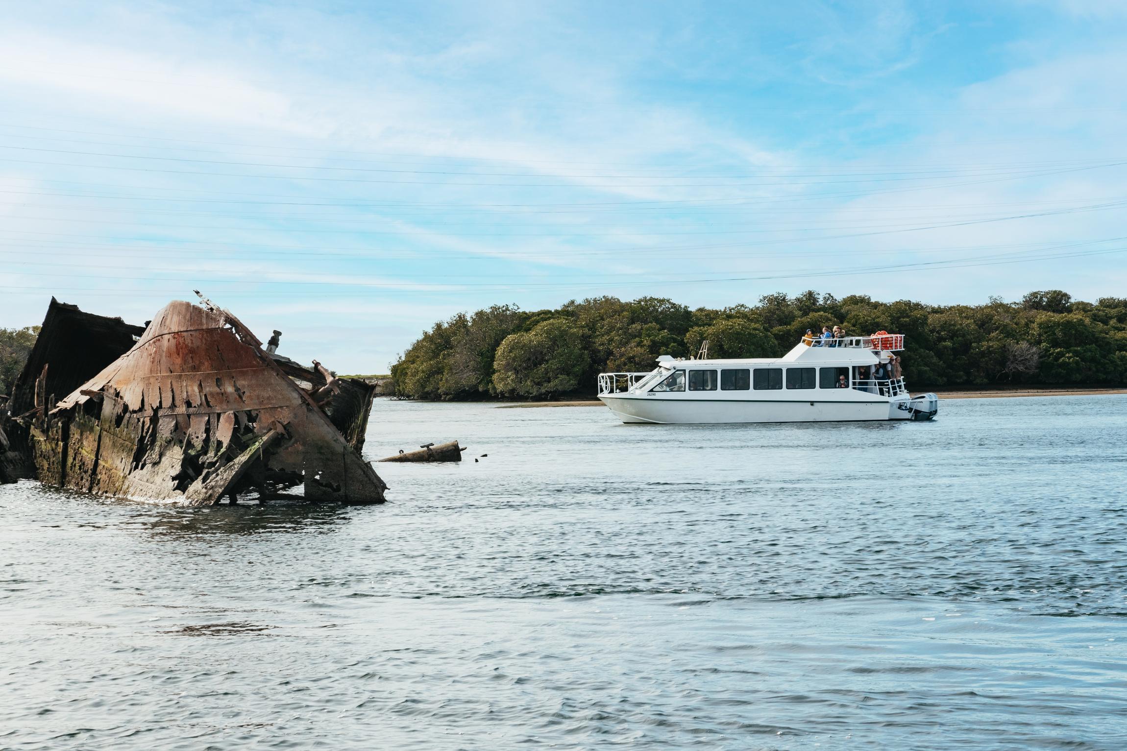 Port Adelaide Dolphin Sanctuary & Ships Graveyard Cruise