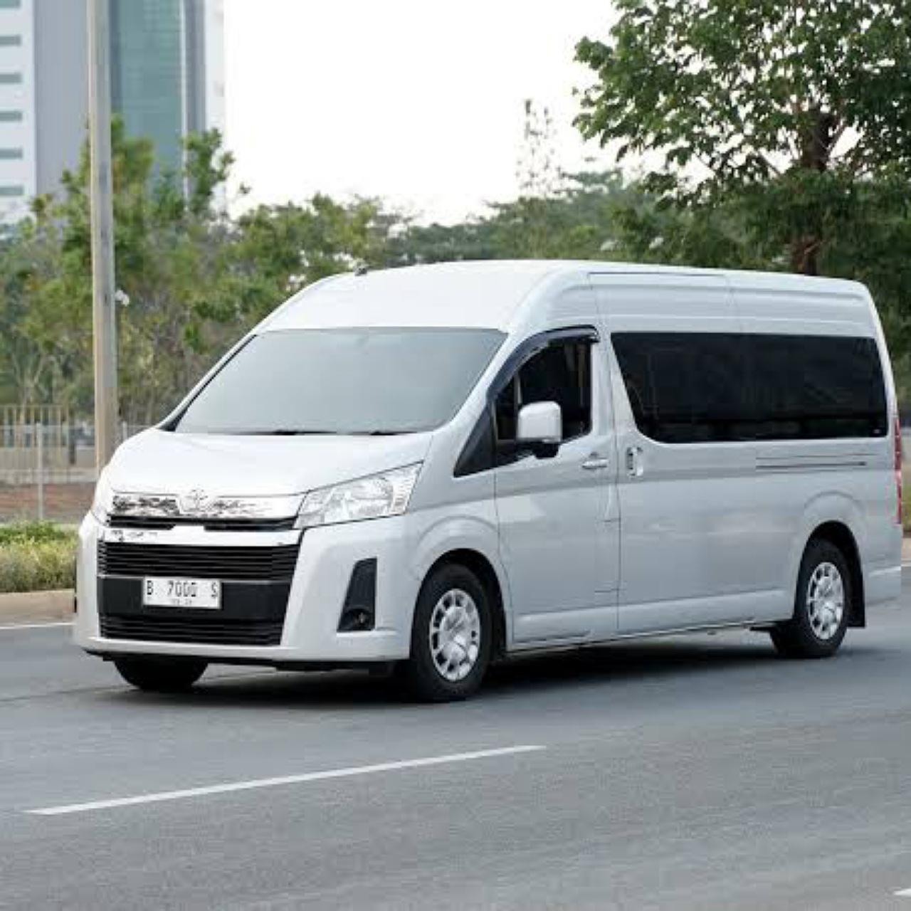 Mactan-Cebu Airport to Moalboal Private Transfer