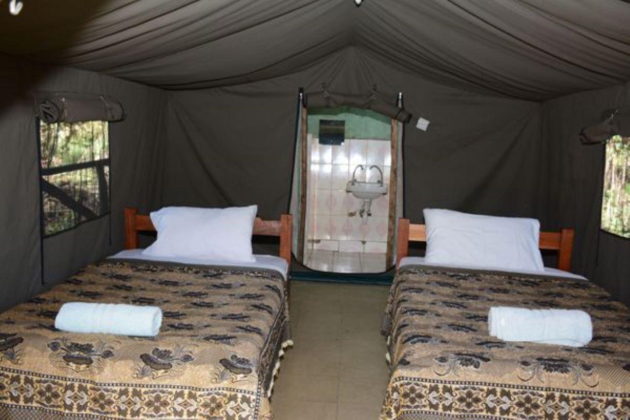 5-Day Private Kenya Safari: Maasai Mara, Nakuru & Naivasha