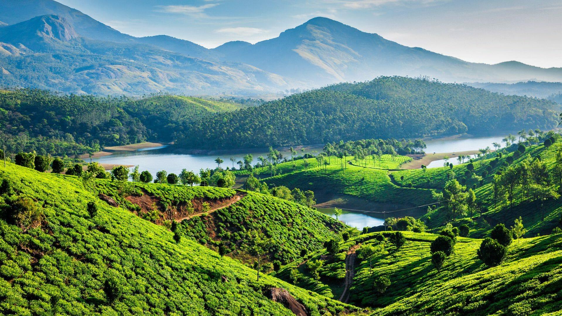 3-Day Periyar Wildlife Sanctuary Expedition from Kochi