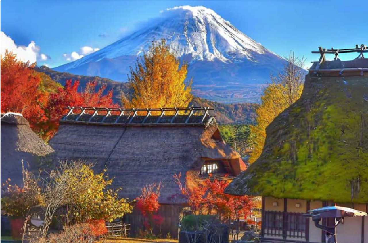 Mt. Fuji Heritage & Culture Day Trip