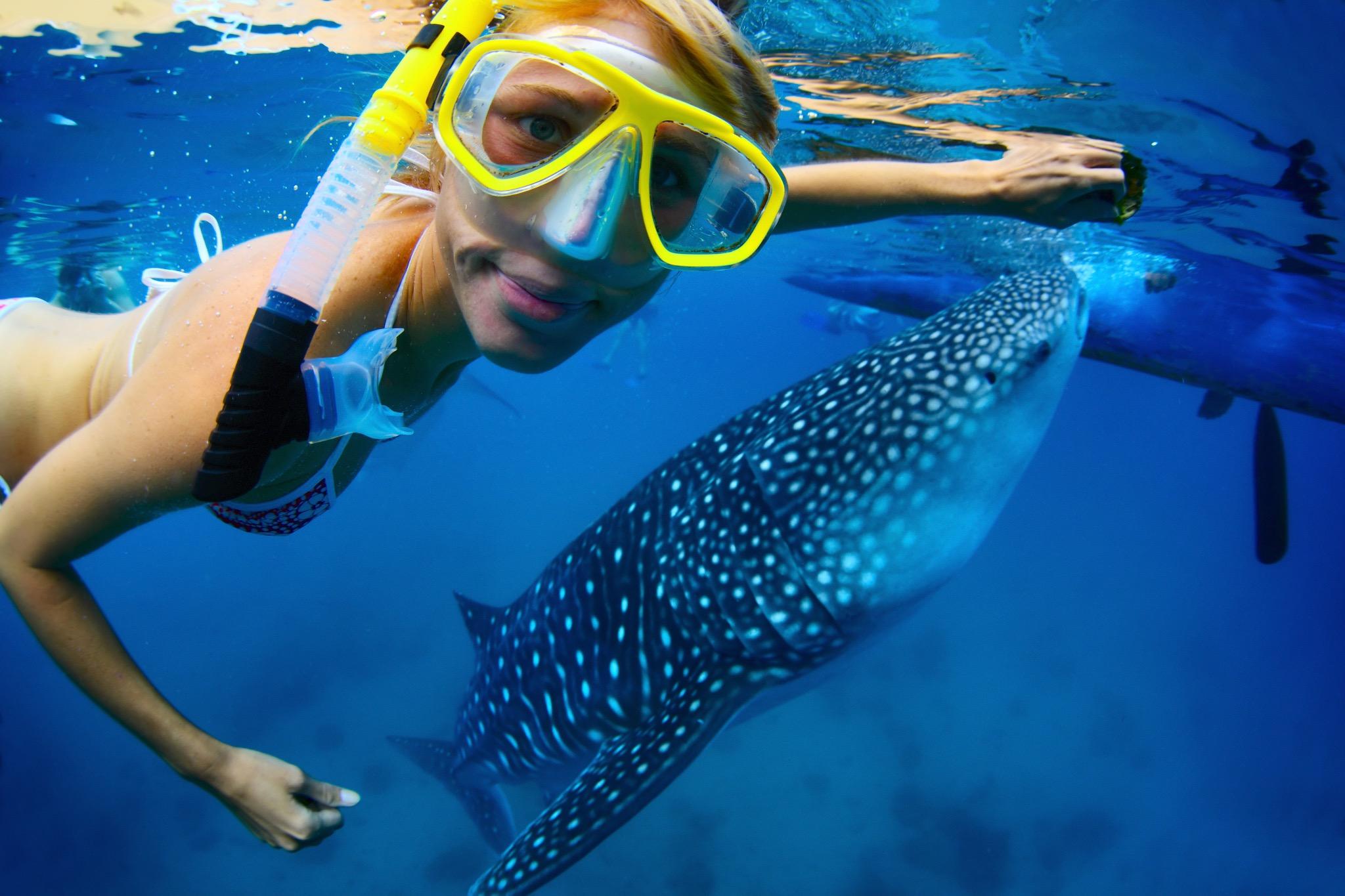 Cebu Ultimate Day Tour: Whale Sharks, Monkey Sanctuary & Moalboal Snorkeling