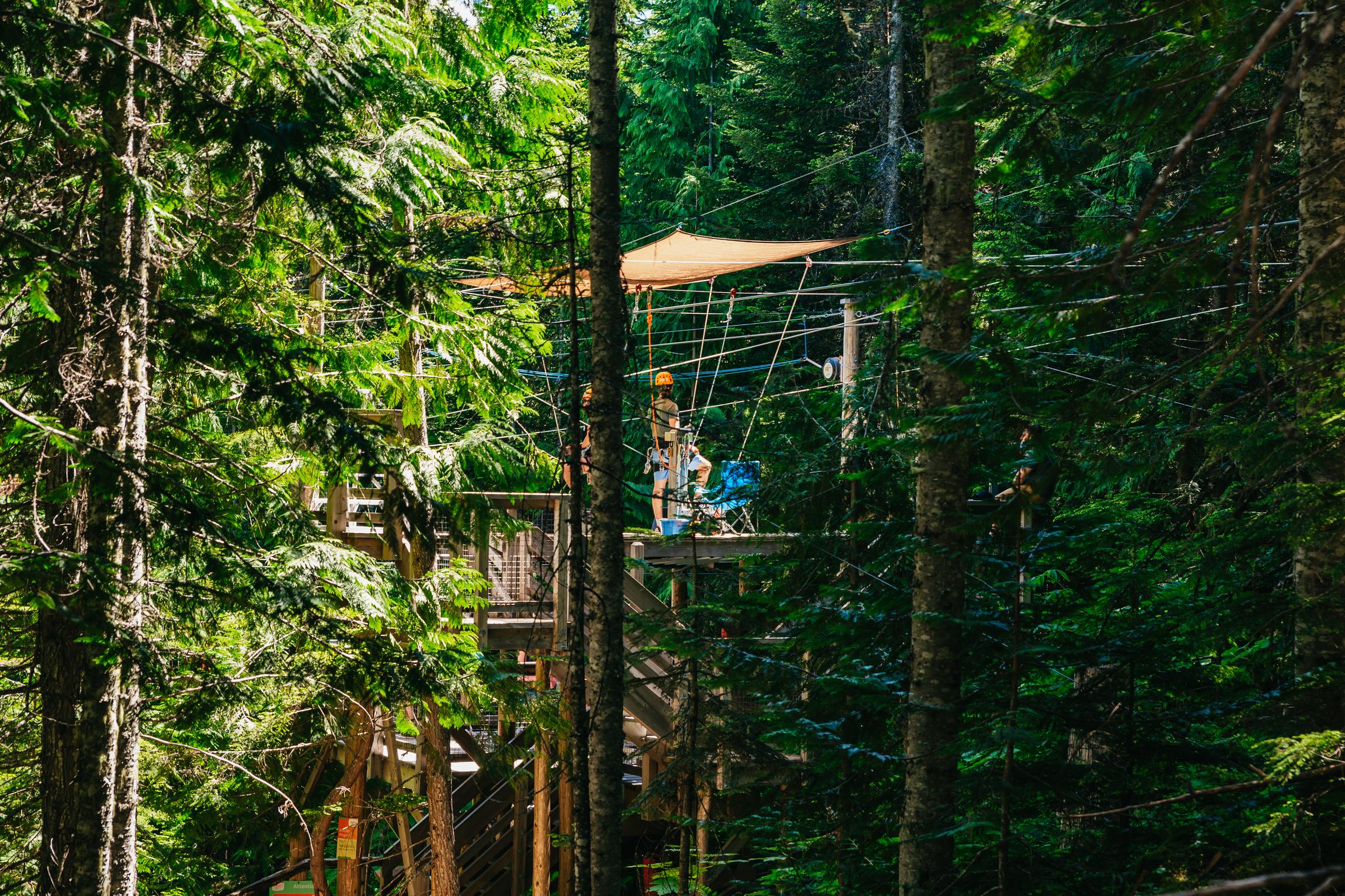 Whistler zipline experience with Ziptrek — flying across the Fitzsimmons Valley, British Columbia — image 9