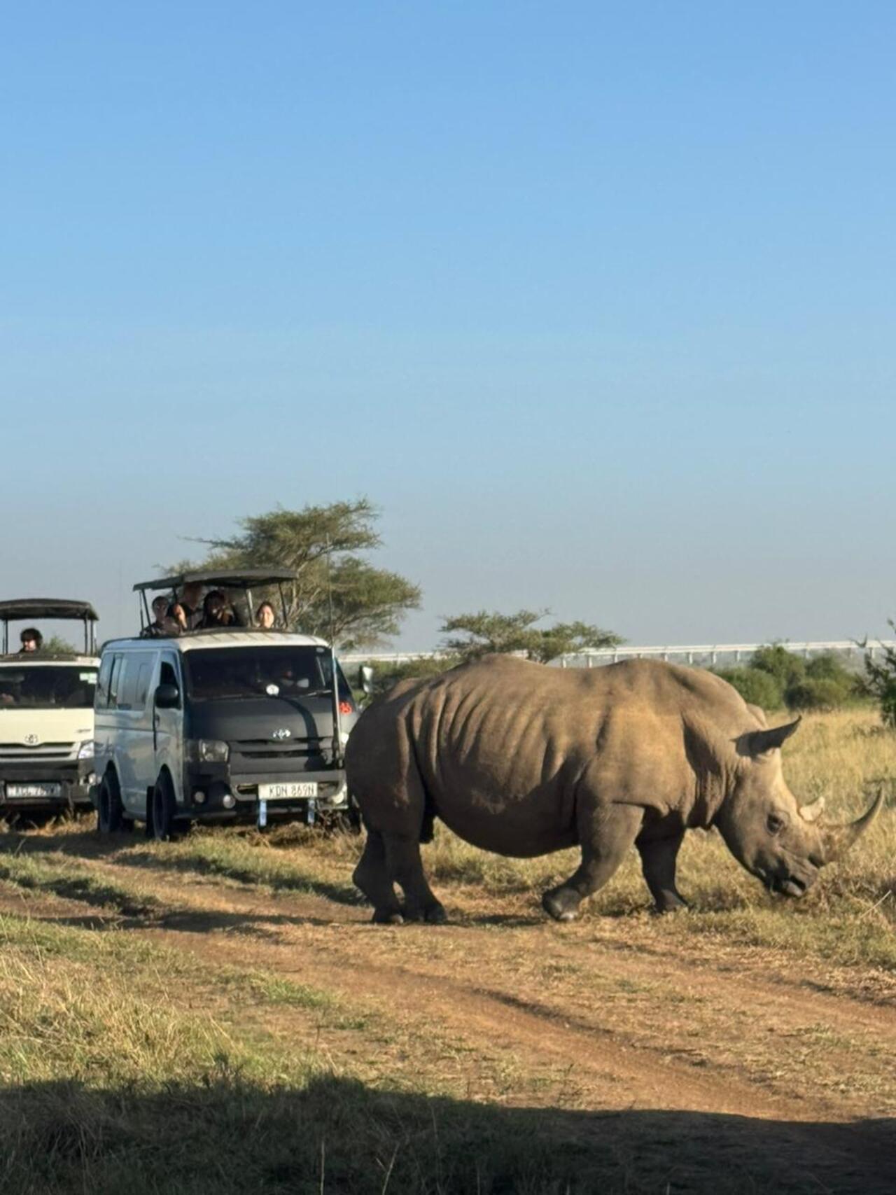 Nairobi National Park 5-Hour 4x4 Wildlife Safari