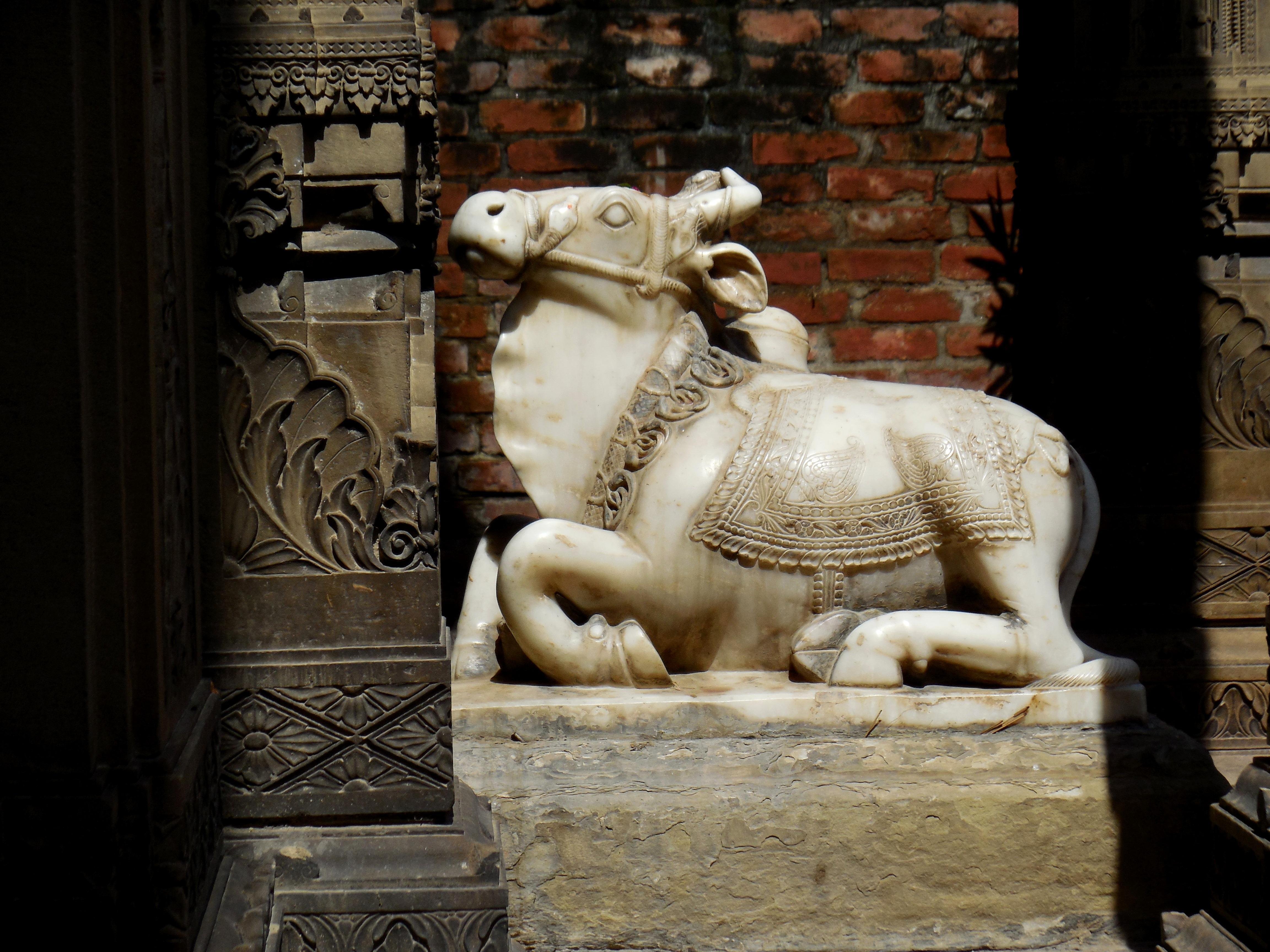 Old Varanasi Walking Experience