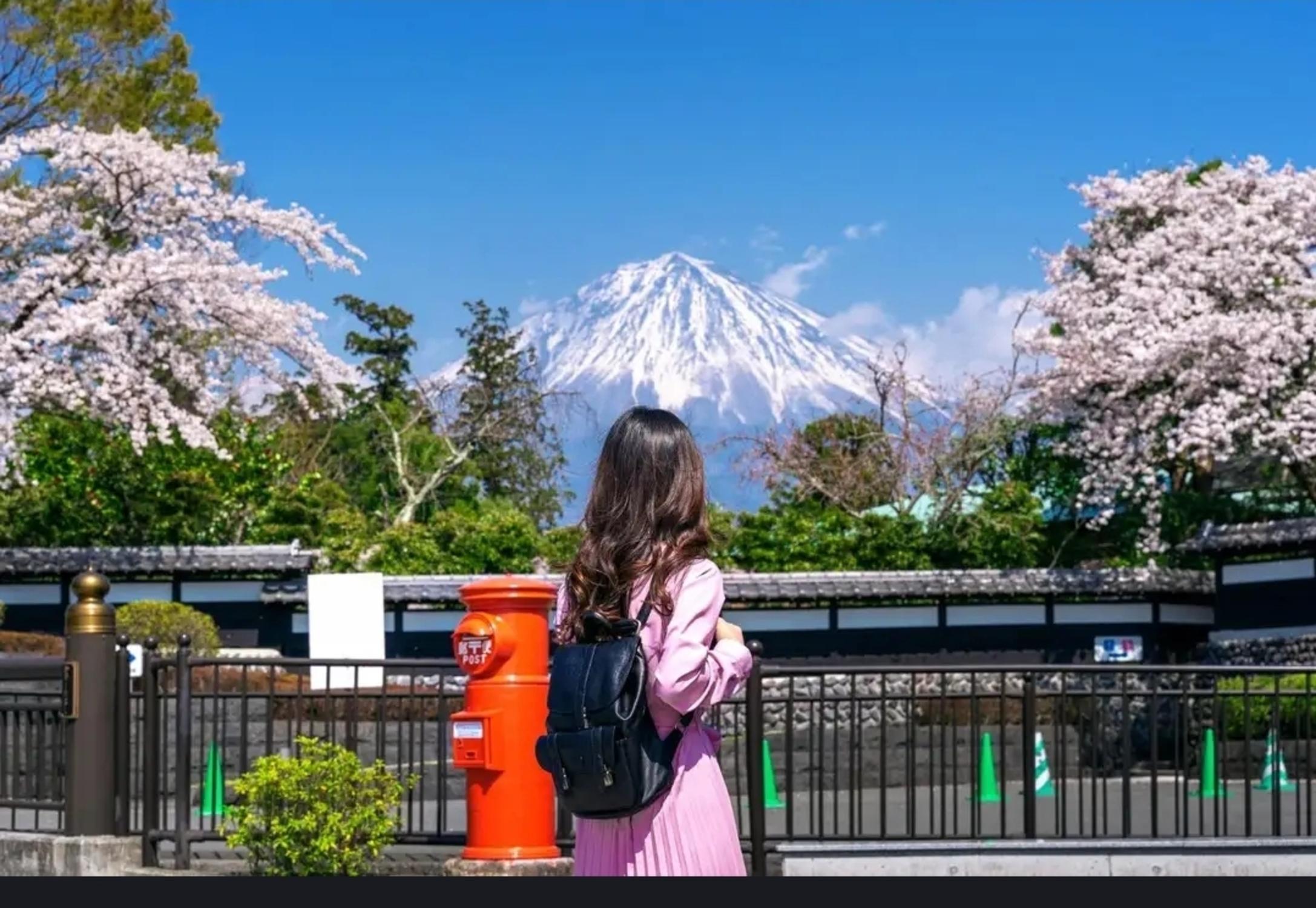 Tokyo to Mt. Fuji & Hakone Private Day Tour