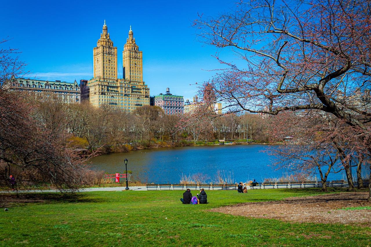 Central Park Exploration by Pedicab or Carriage