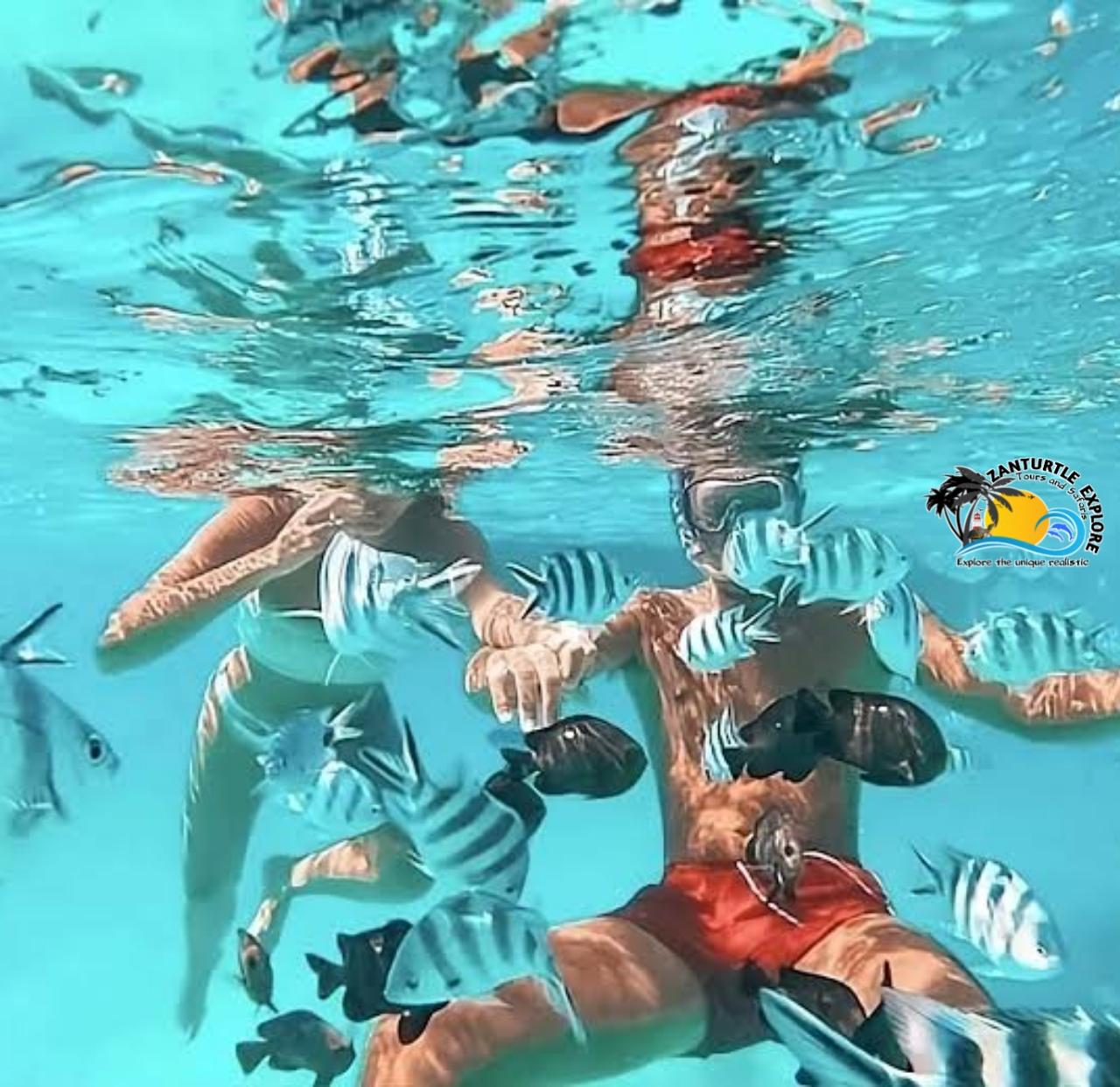 Private Zanzibar Blue Lagoon & Starfish Beach Excursion