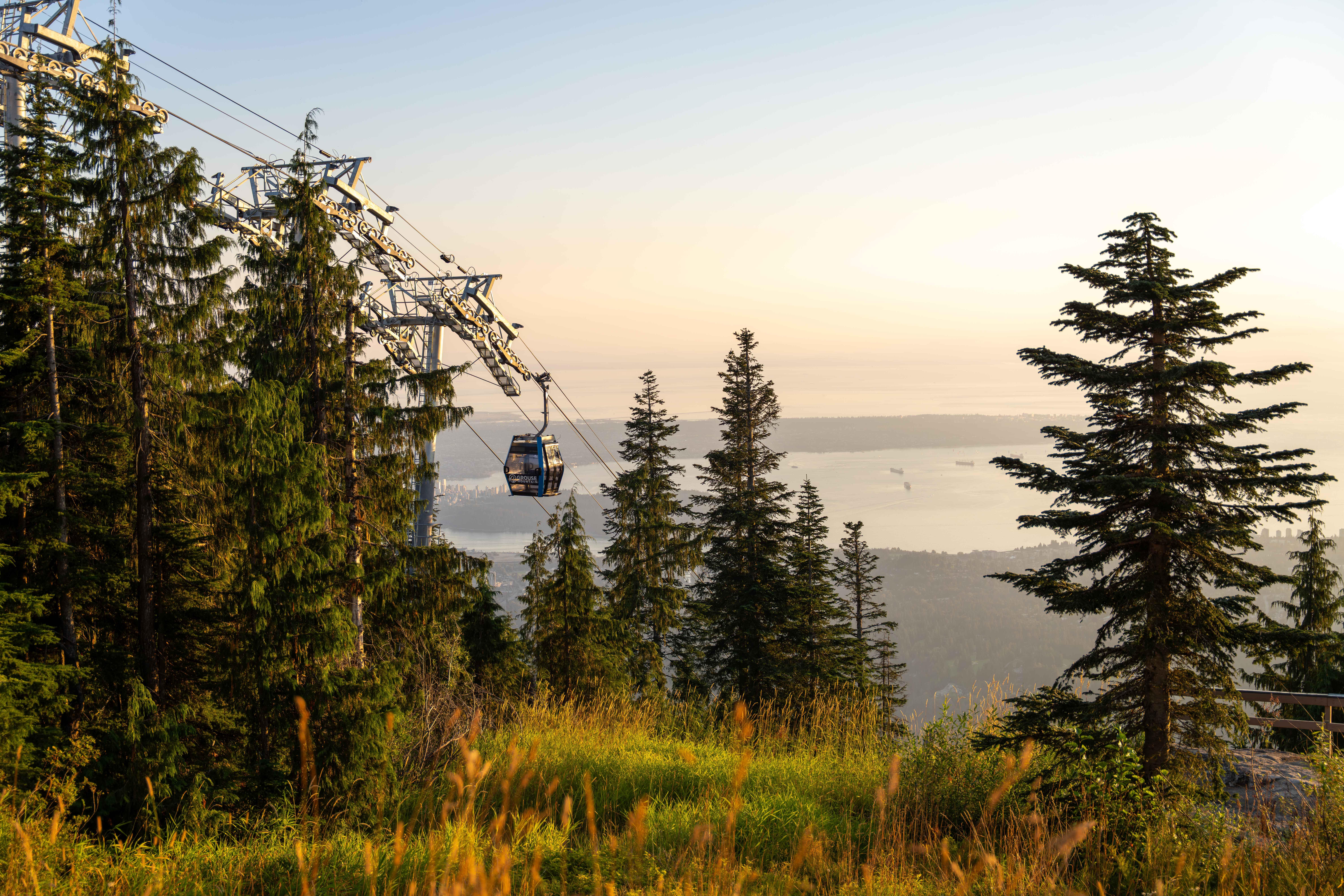 Bilhete de Admissão para o Grouse Mountain Skyride e Pico