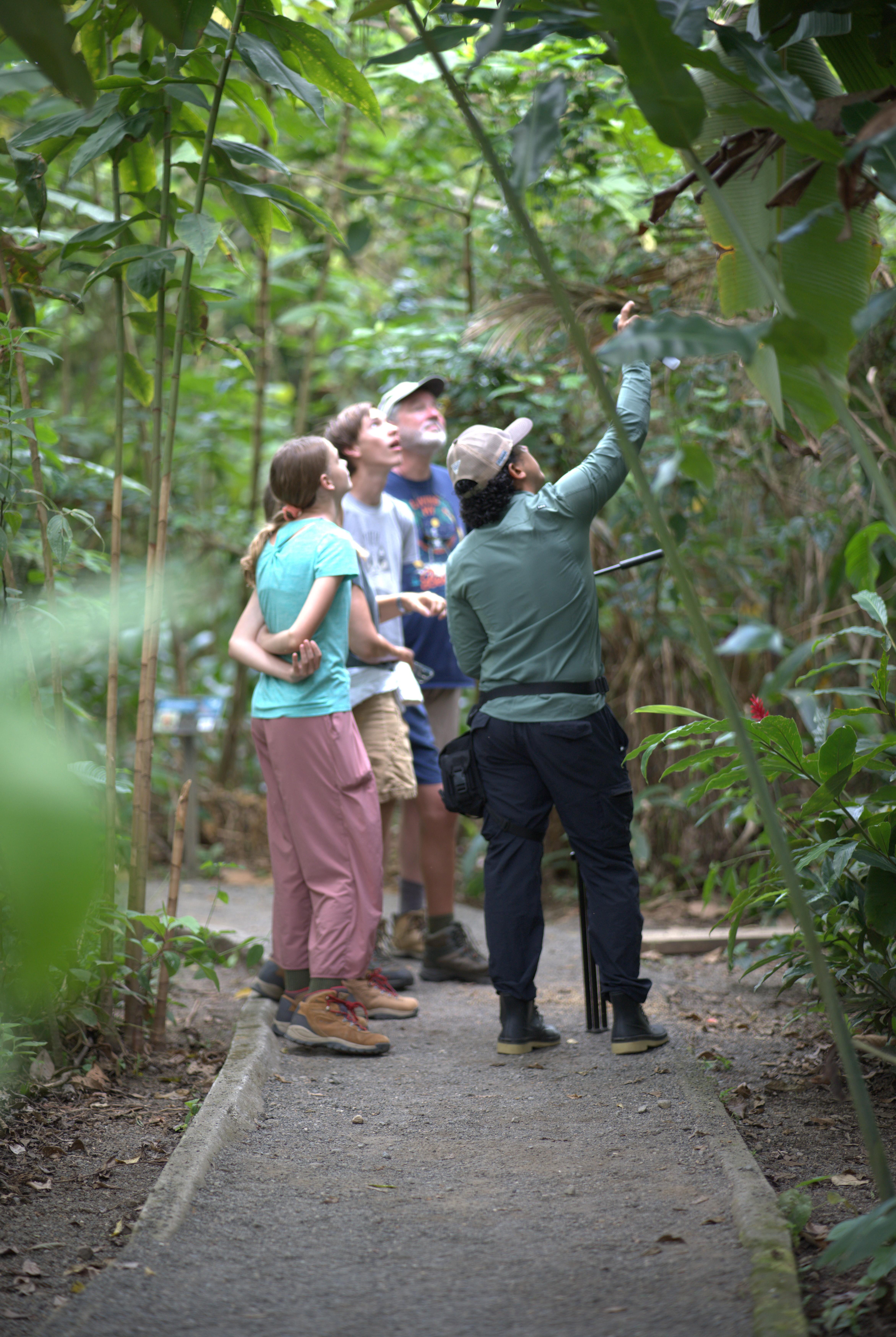 La Fortuna Sloth & Wildlife Nature Walk