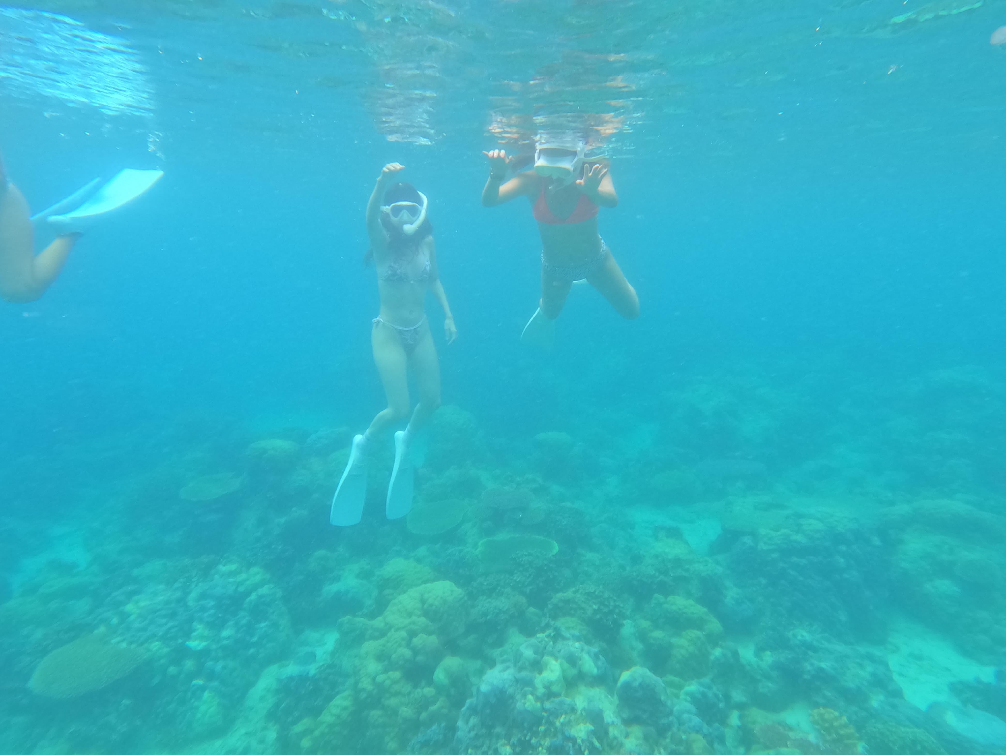 Coron Dugong Snorkeling & Coral Garden Day Tour