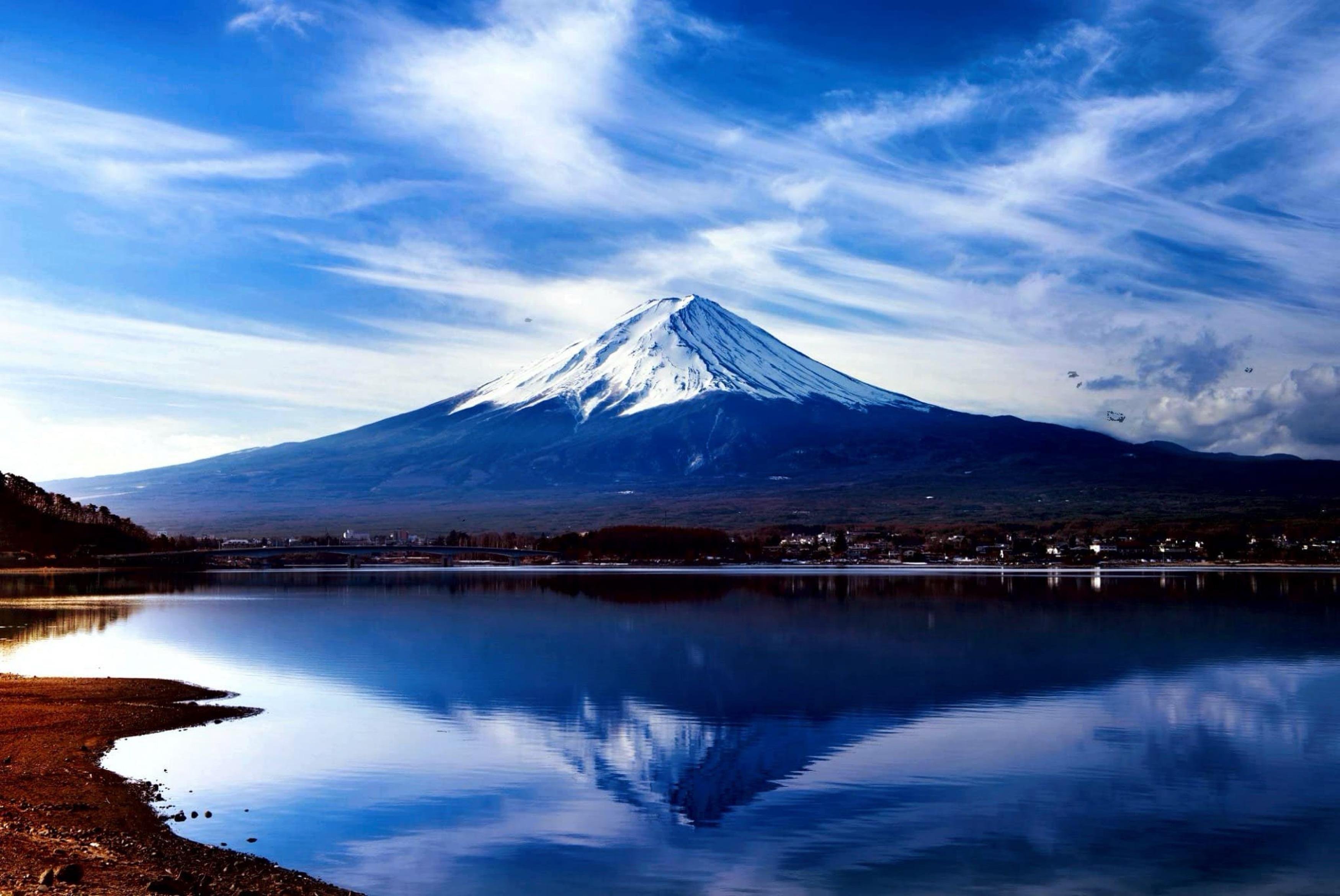 Mount Fuji Private Day Tour from Tokyo with English-Speaking Driver