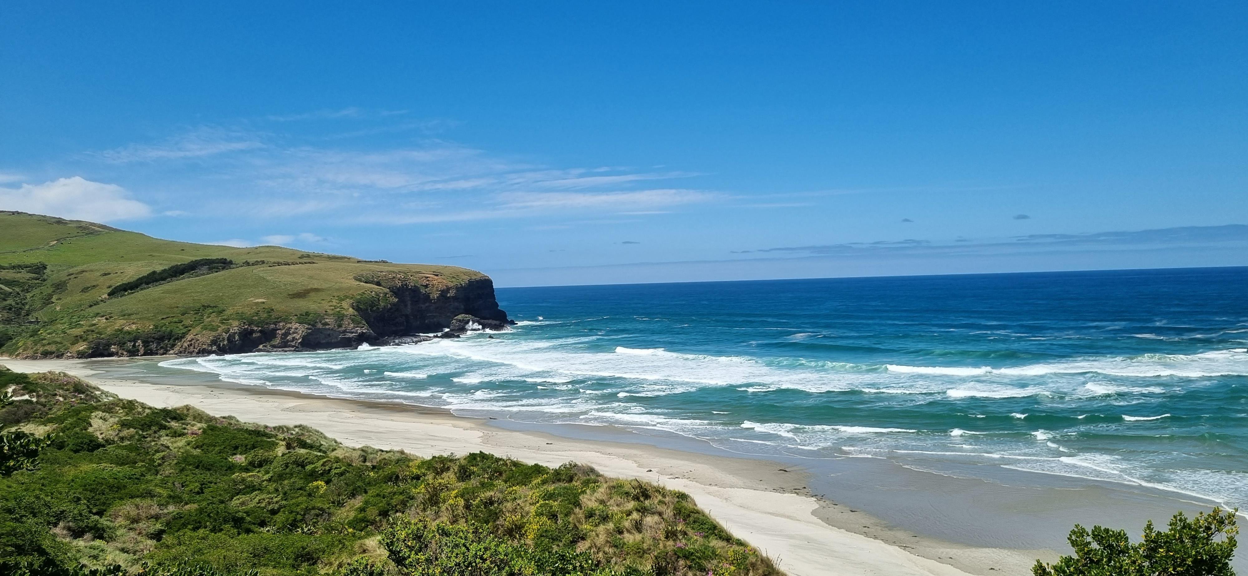 Dunedin Highlights & Larnach Castle Gardens