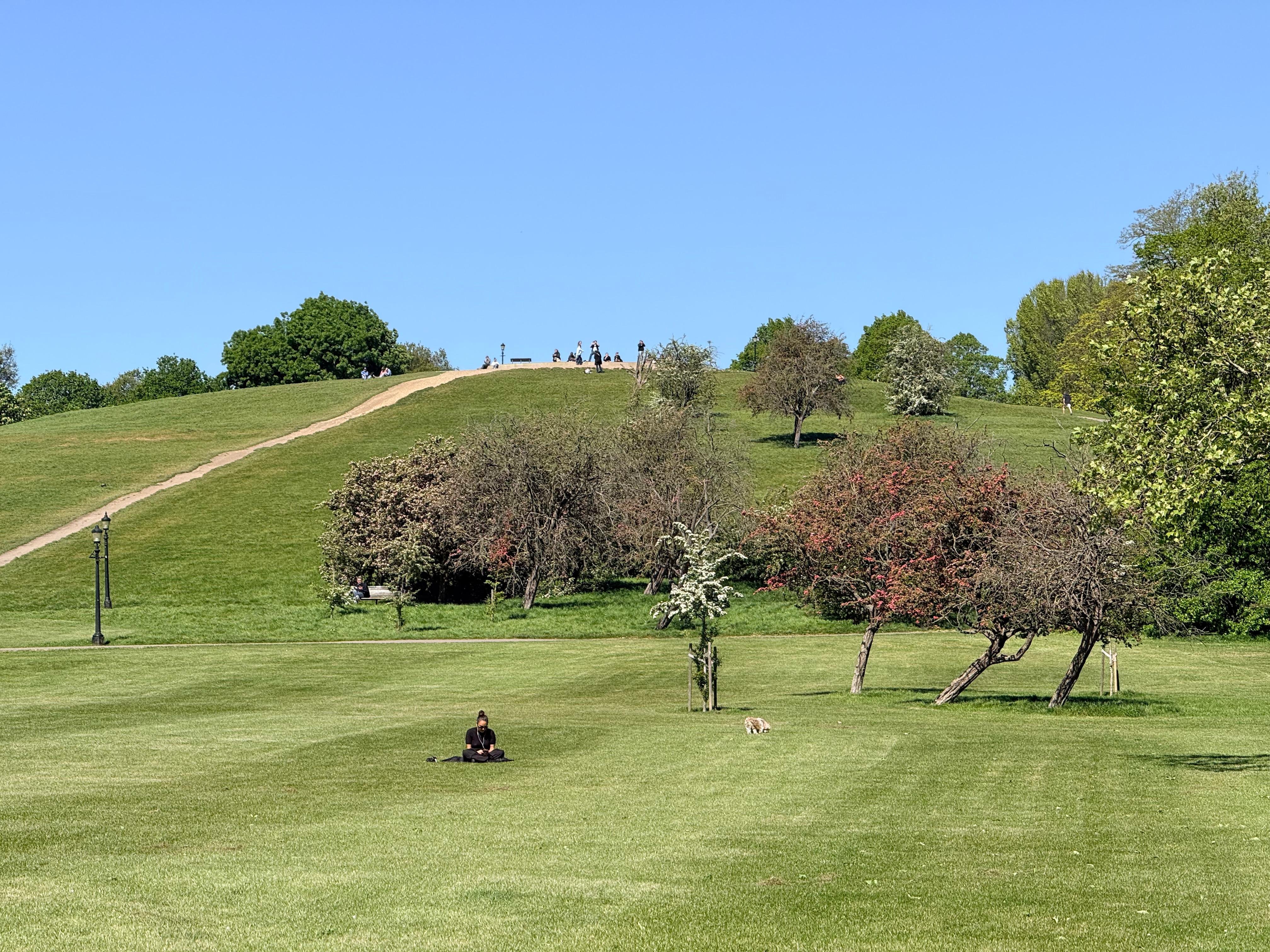 Camden, Regent's Park & Primrose Hill Walking Tour