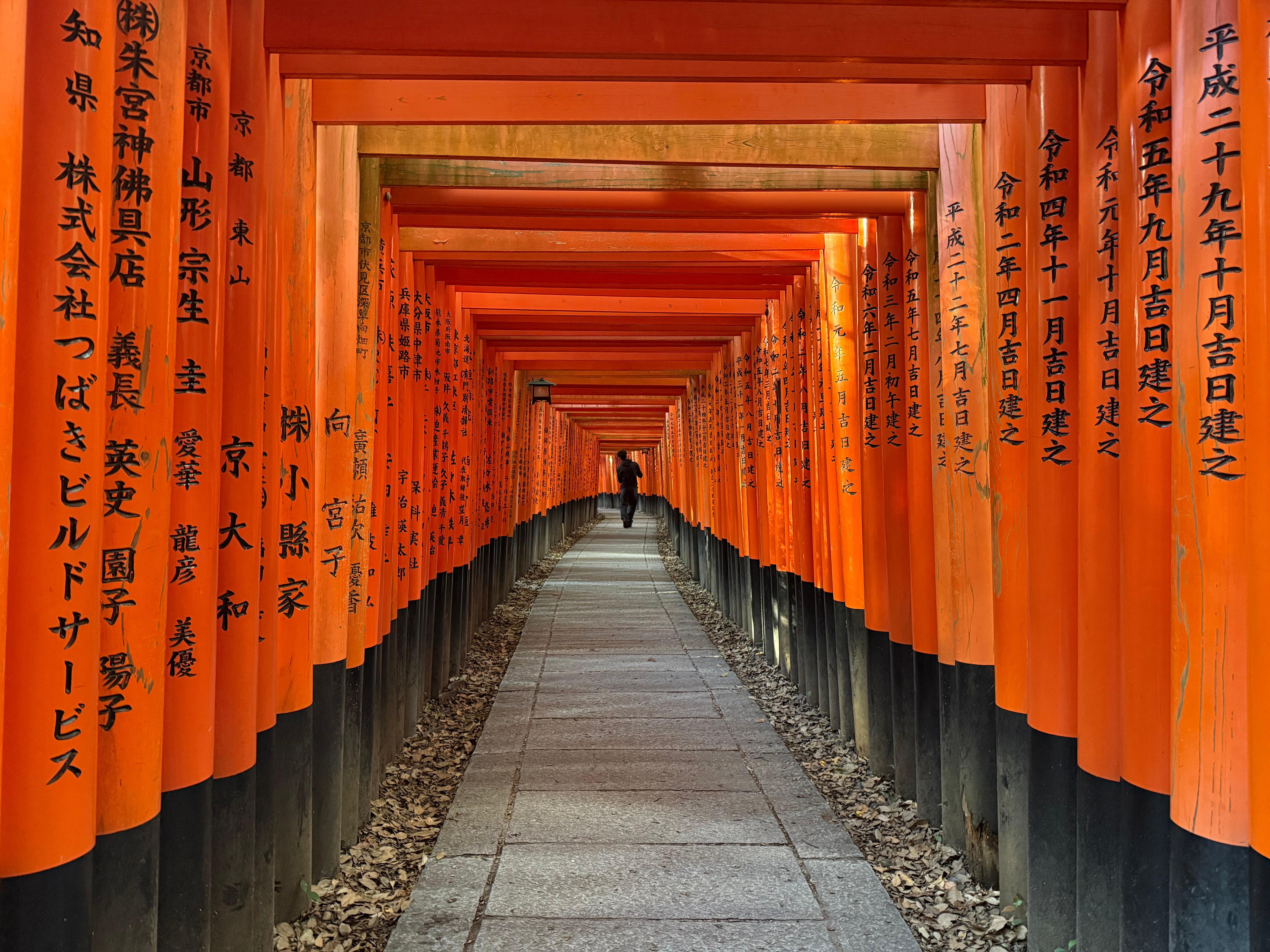 Kyoto: Privat heldagstur til høydepunktene med bil og guide
