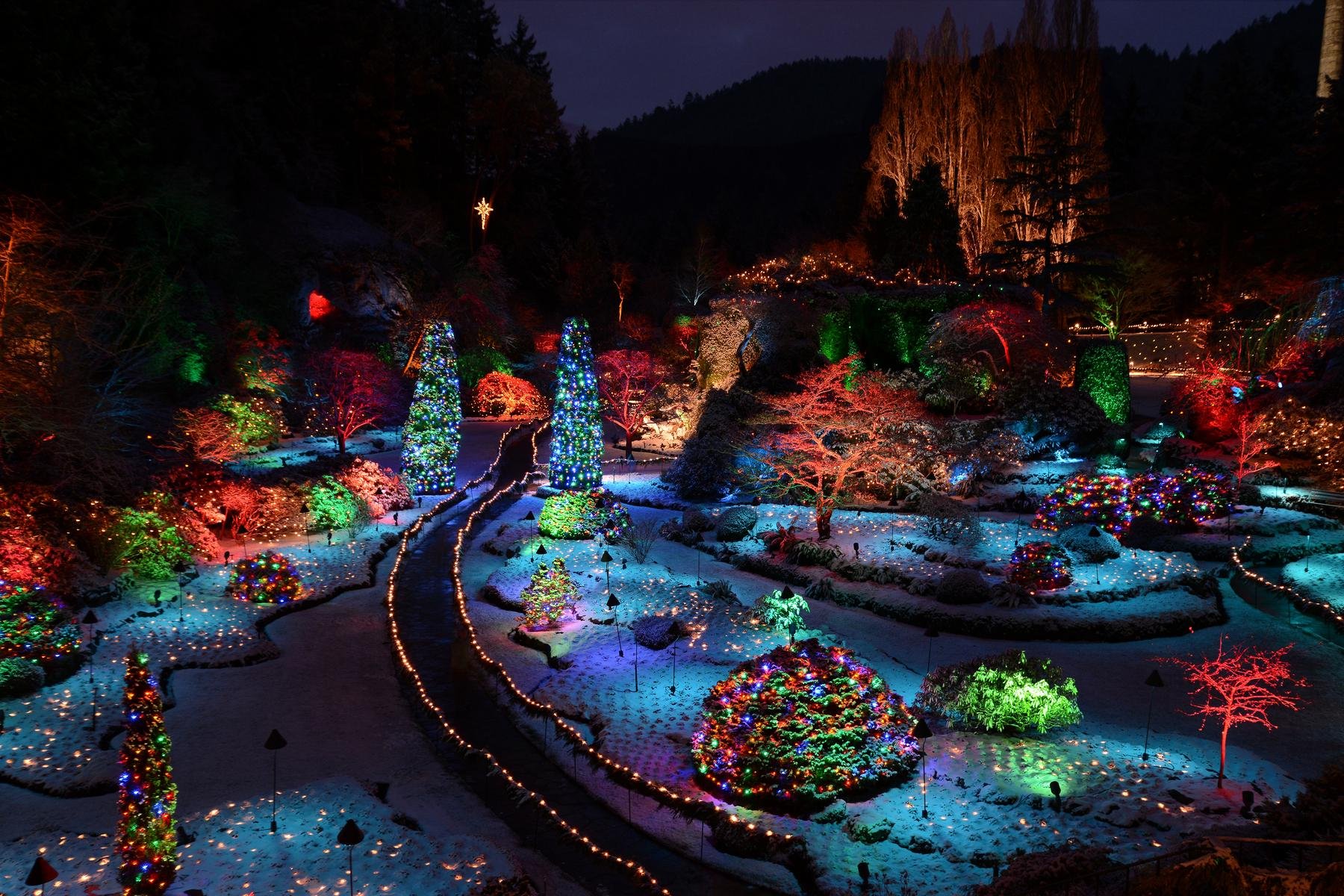 Butchart Gardens — the Sunken Garden, Rose Garden and Japanese Garden — image 26