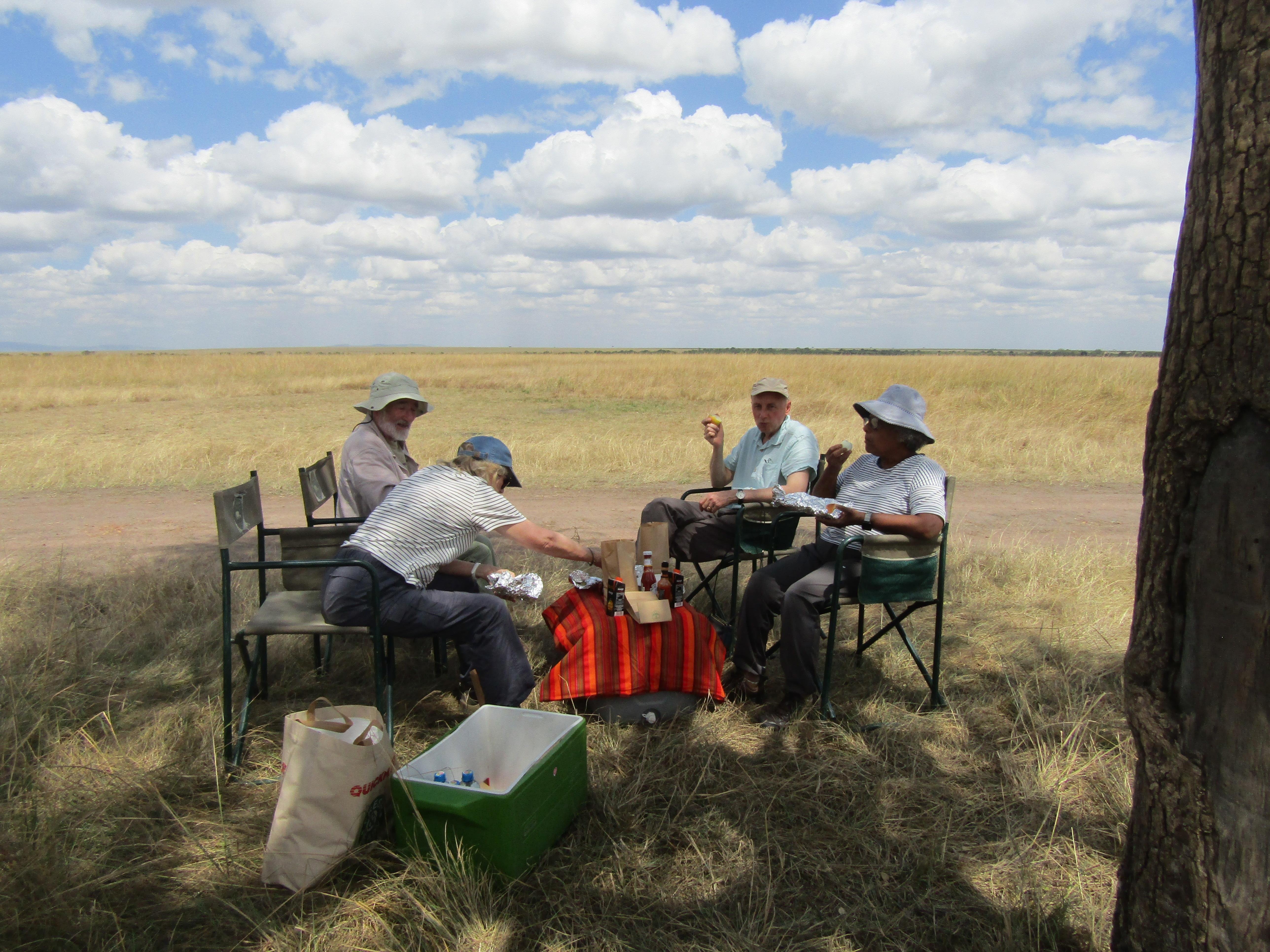 3-Day Masai Mara Safari Adventure from Nairobi