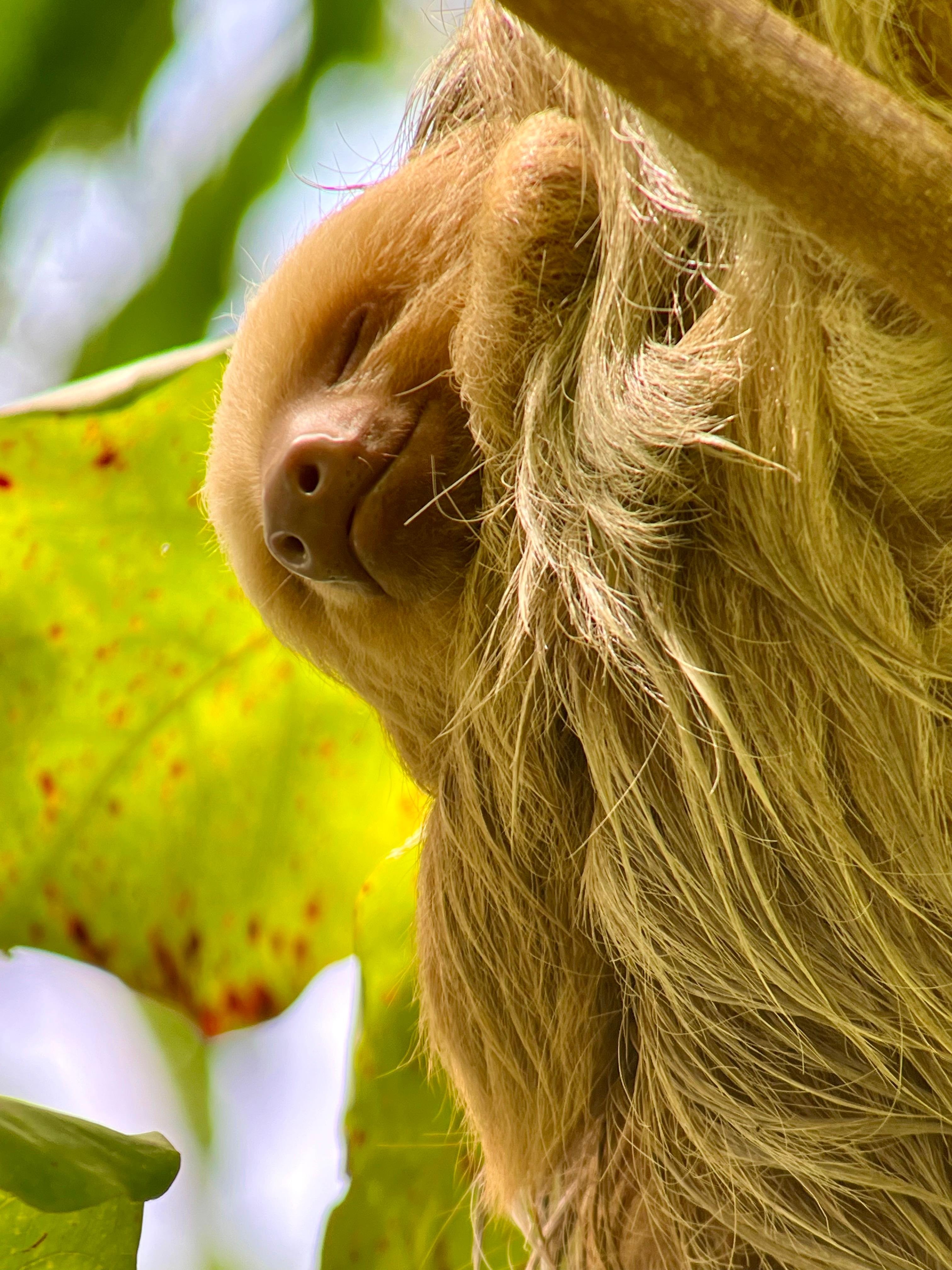 Manuel Antonio Park, Ticket and pick up only or parking