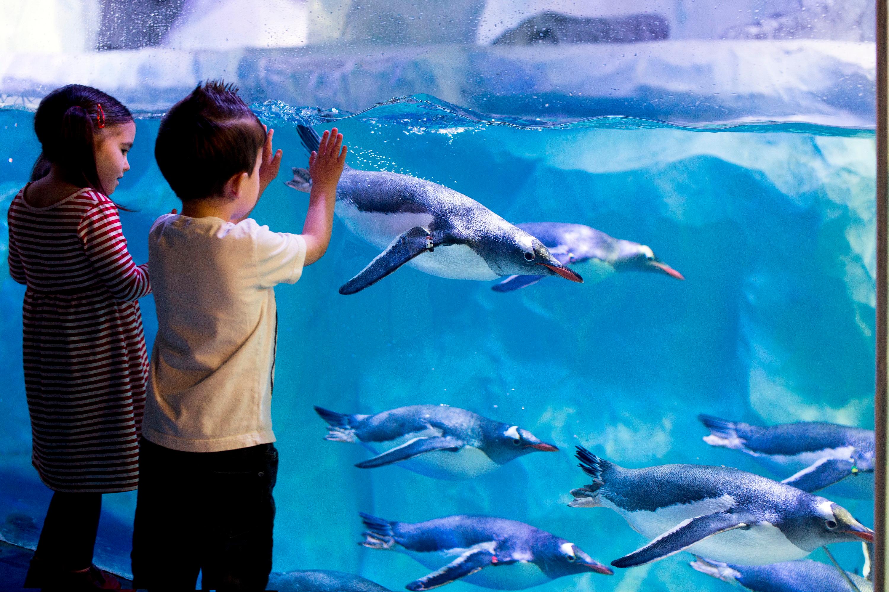 SEA LIFE Konstanz Admission Ticket