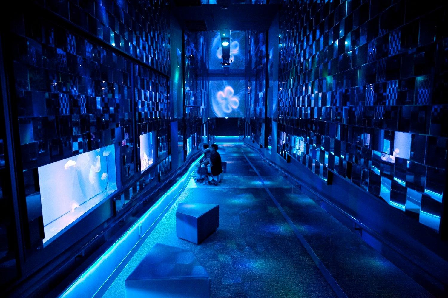 Sumida Aquarium Entry Ticket