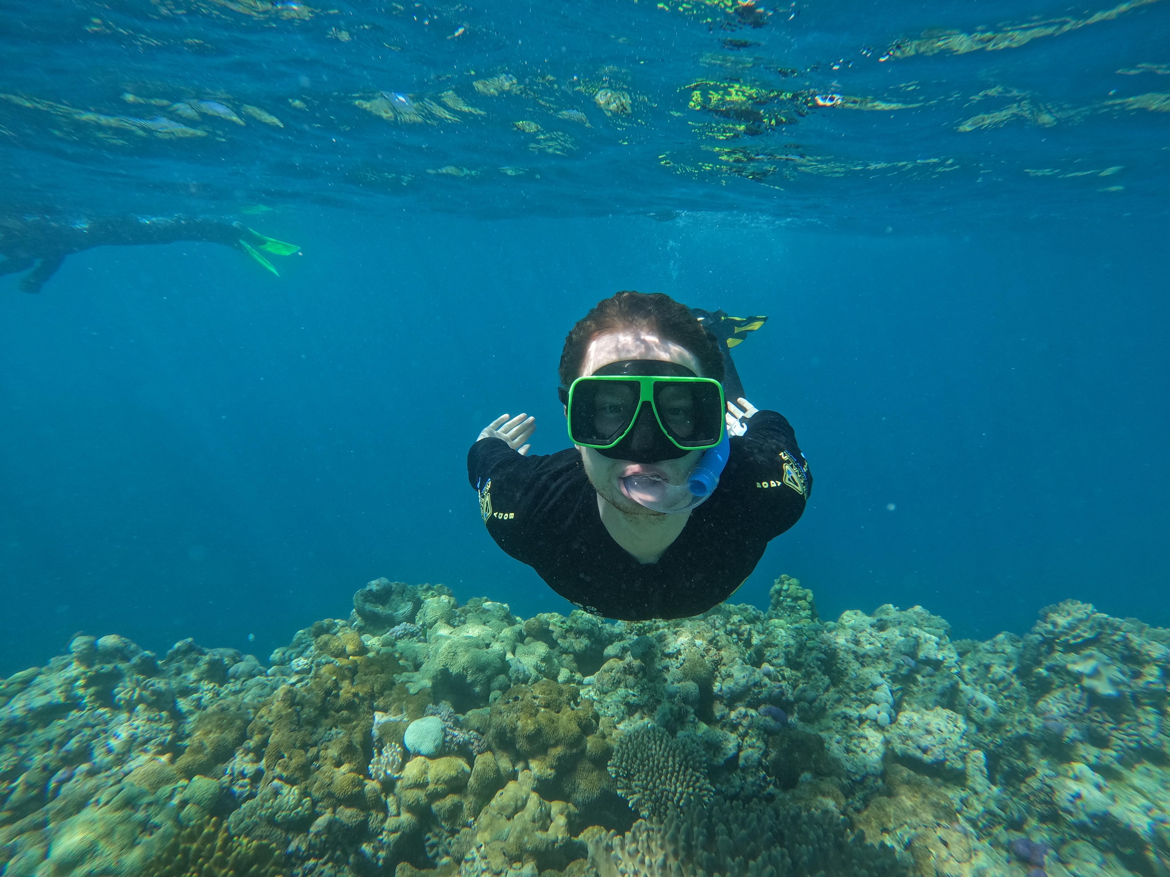 Airlie Beach: Great Barrier Reef & Whitehaven Beach Speedboat Day Tour