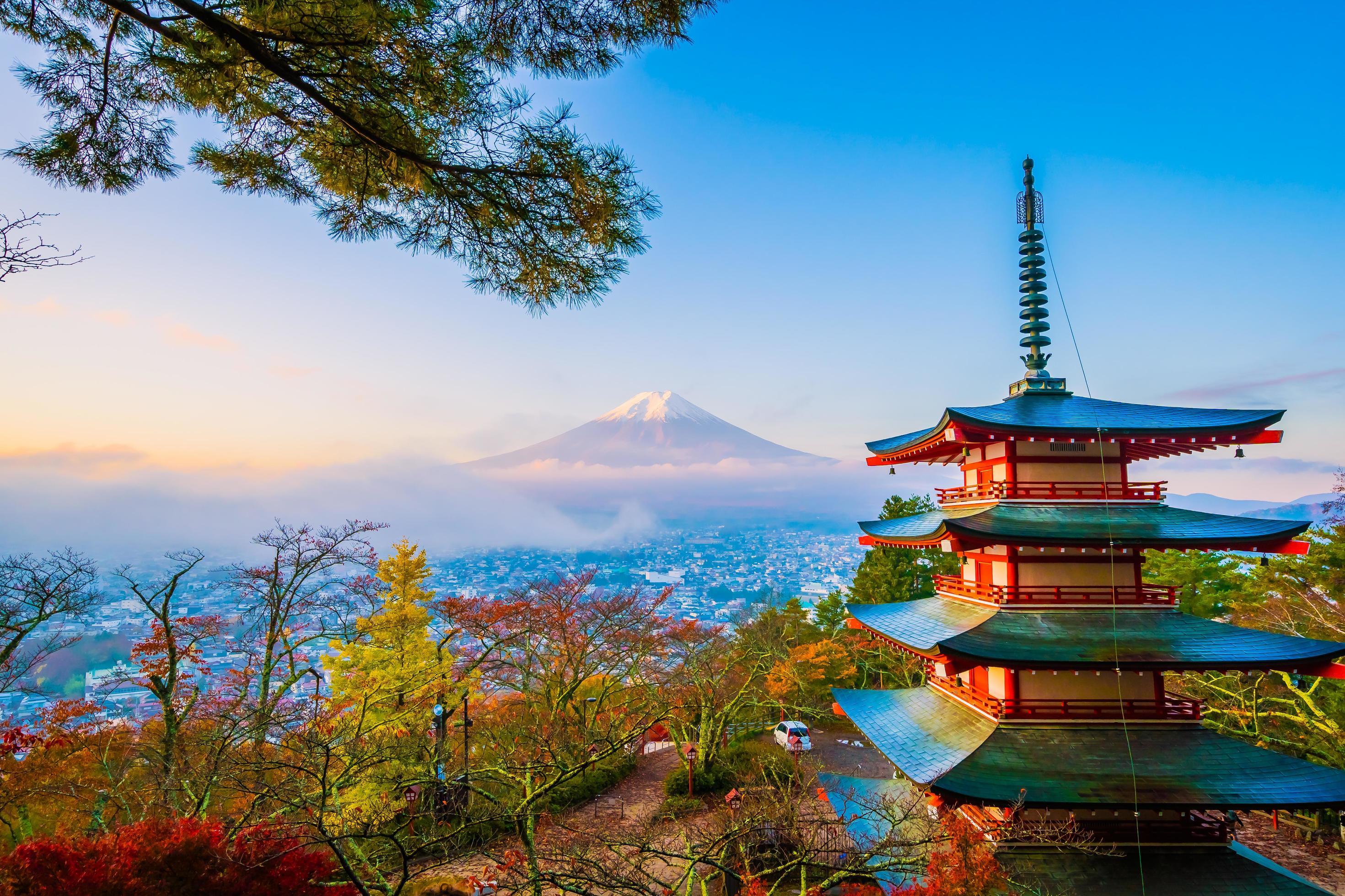 Private Mount Fuji & Hakone Day Tour with English-Speaking Guide