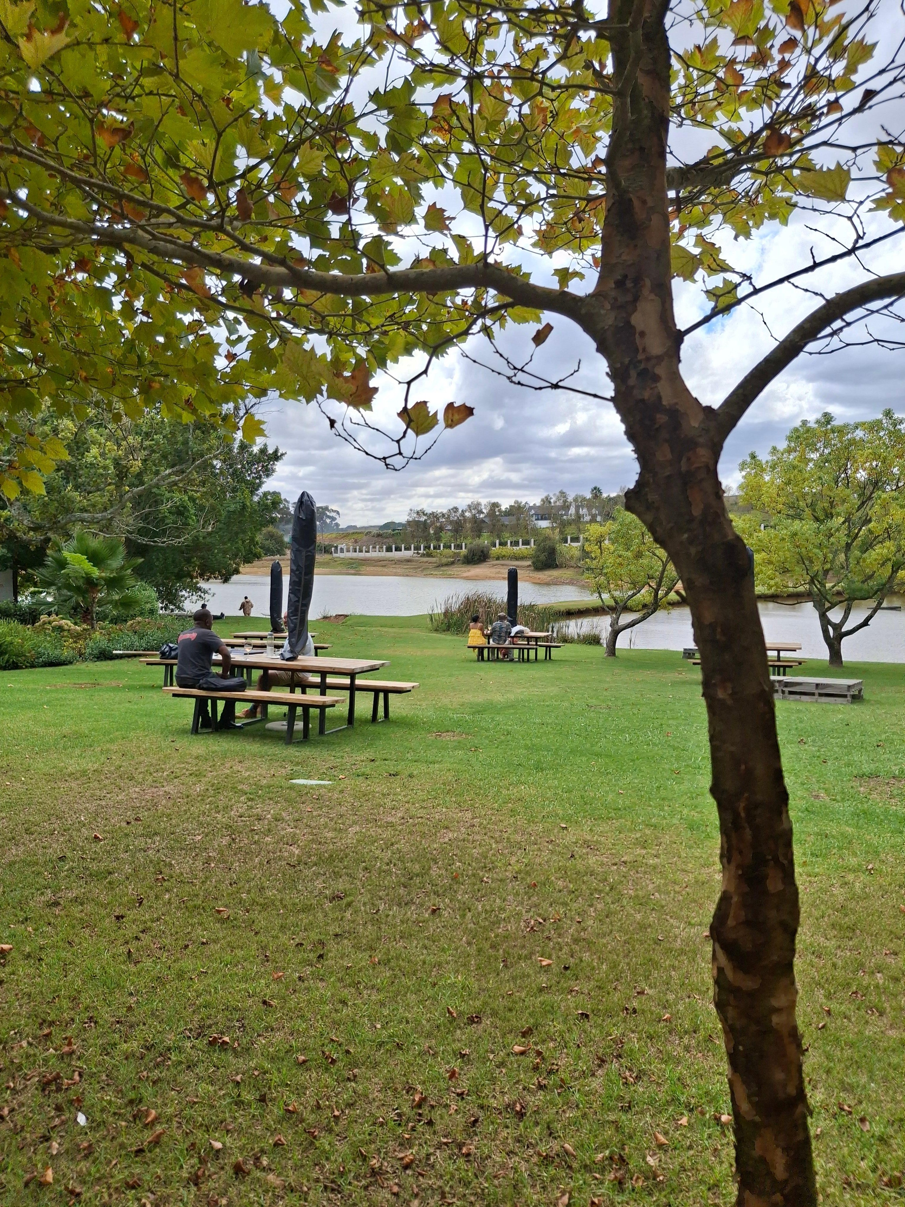 Private Cape Winelands Day Tour with Lunch
