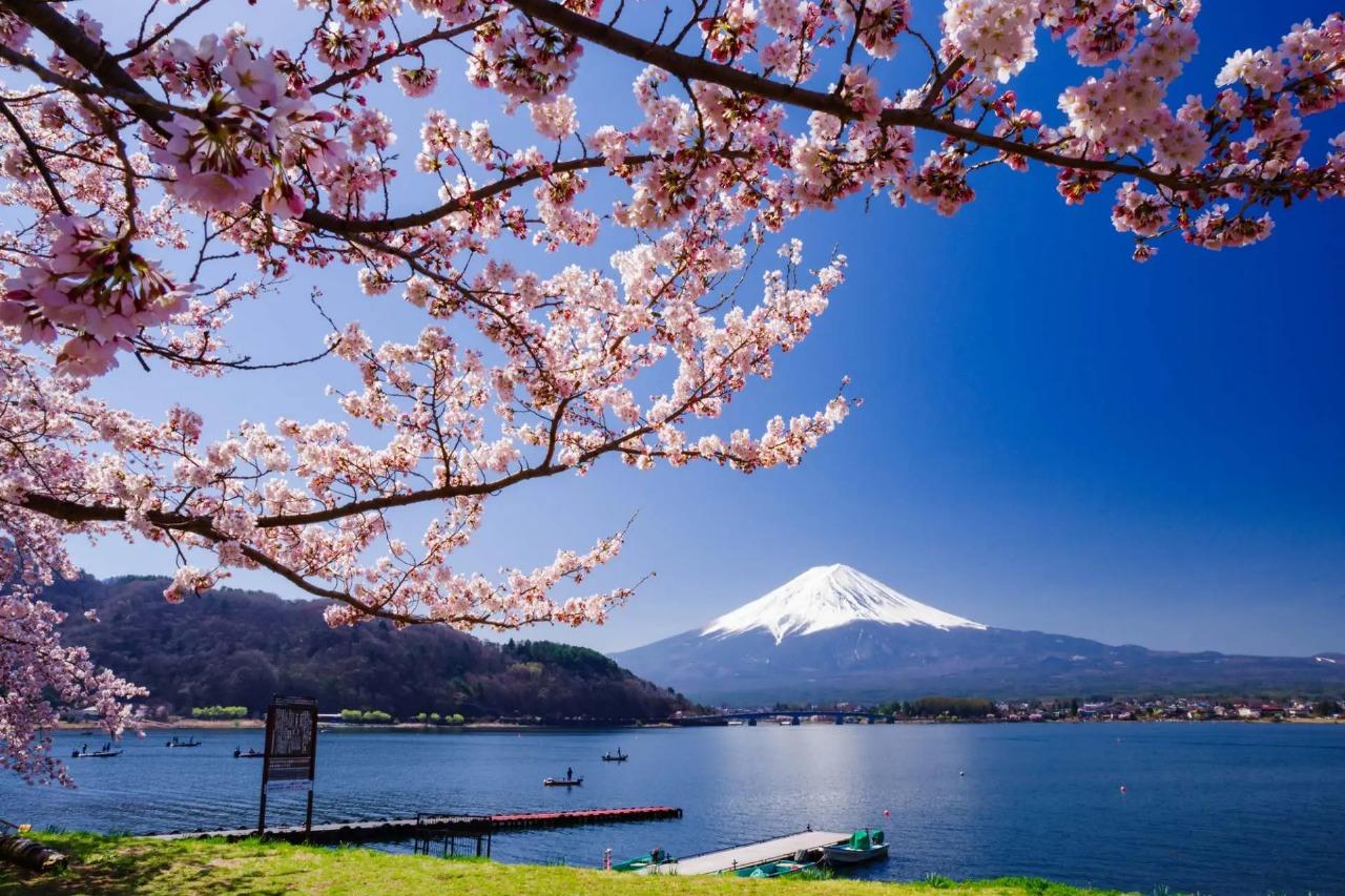 Private Mt. Fuji Day Tour from Tokyo