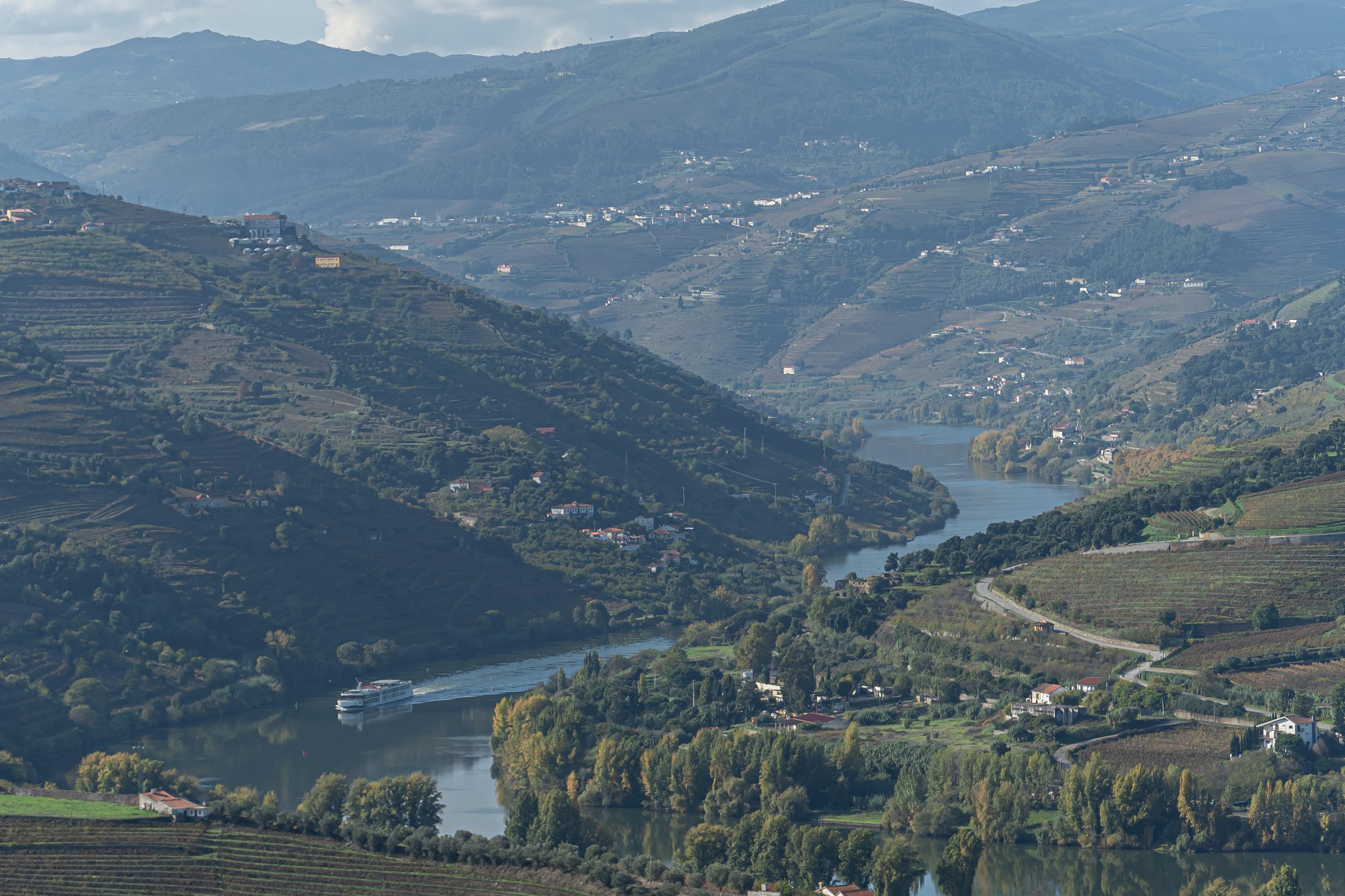 Douro Valley Wine & Boat Experience from Porto