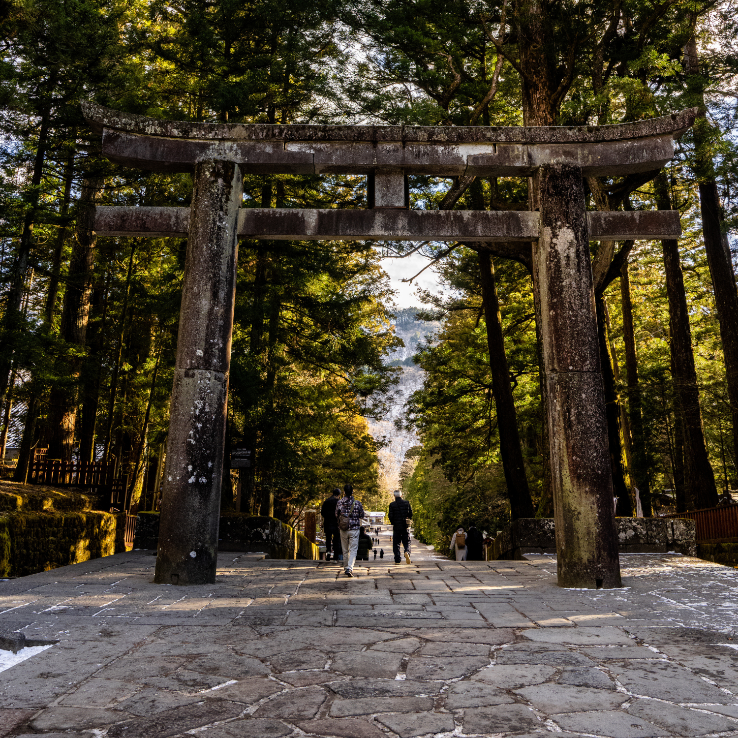 Private Nikko Day Tour from Tokyo – Fully Customizable