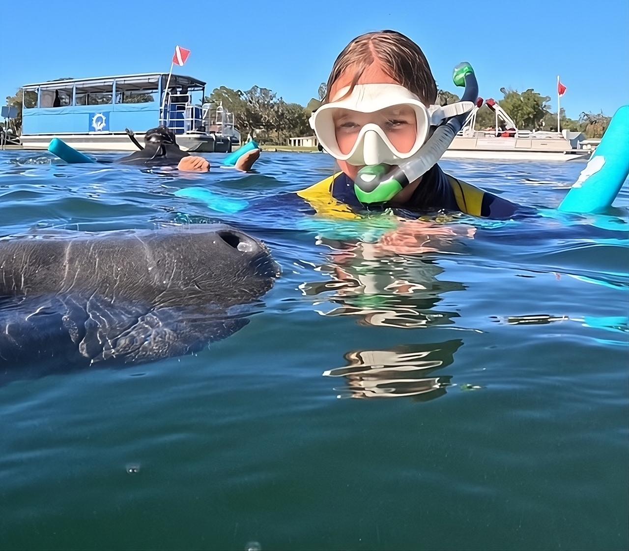 Crystal River Manatee Snorkel Adventure