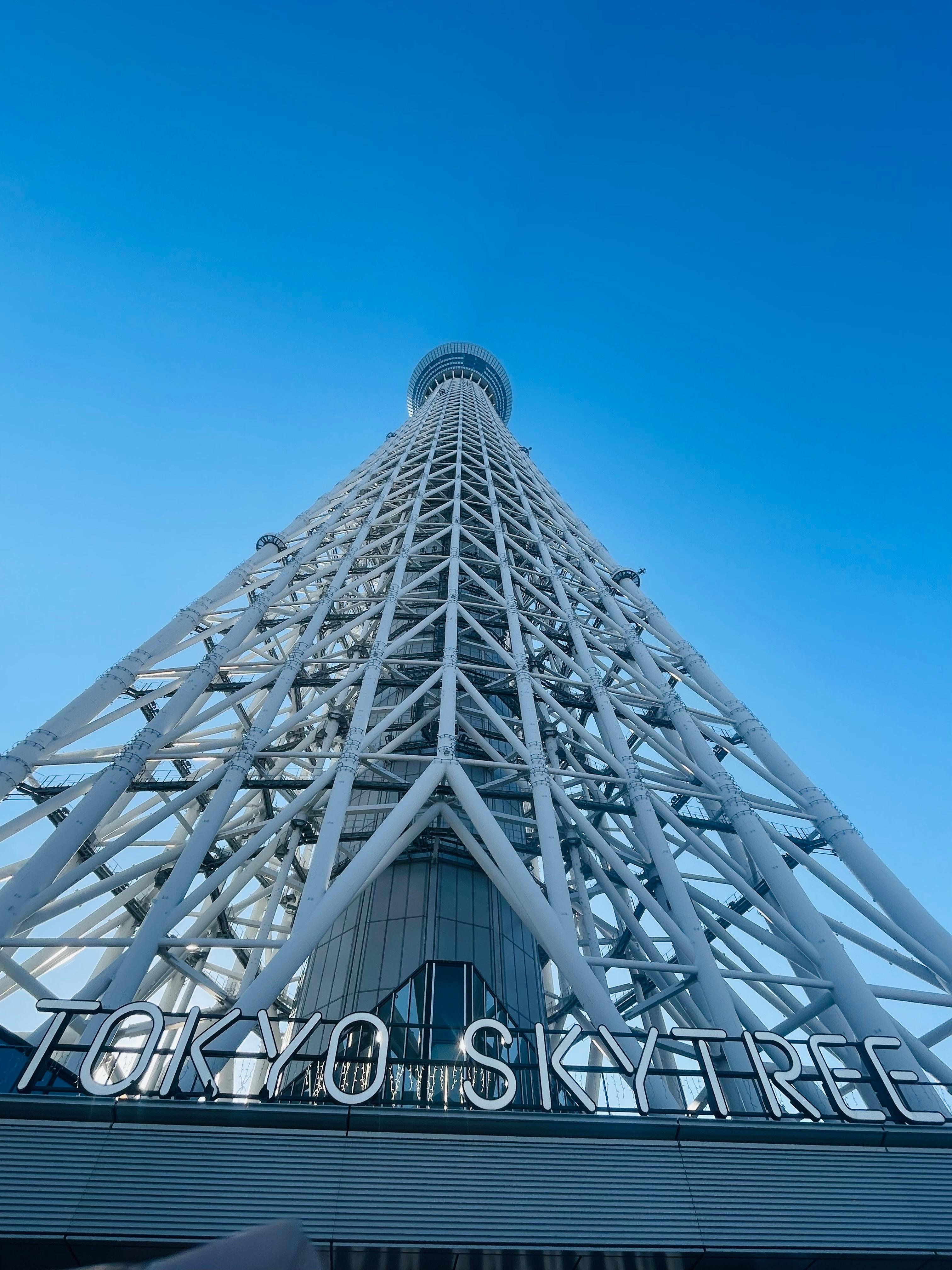 Tokyo Private Full-Day City Tour — Custom Itinerary with English Guide