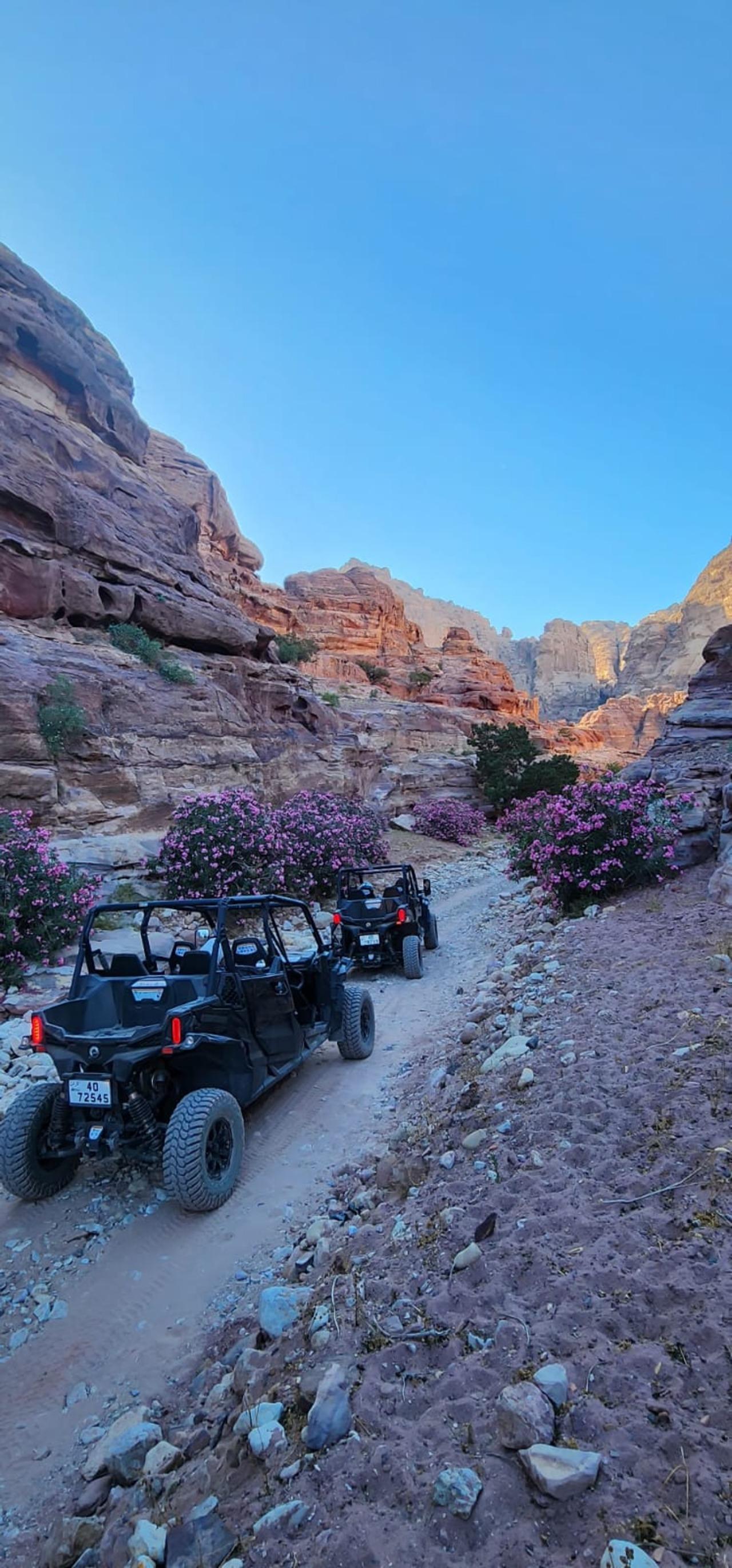 Petra Mountains Hidden Trails: Private UTV Adventure (3 Hours)