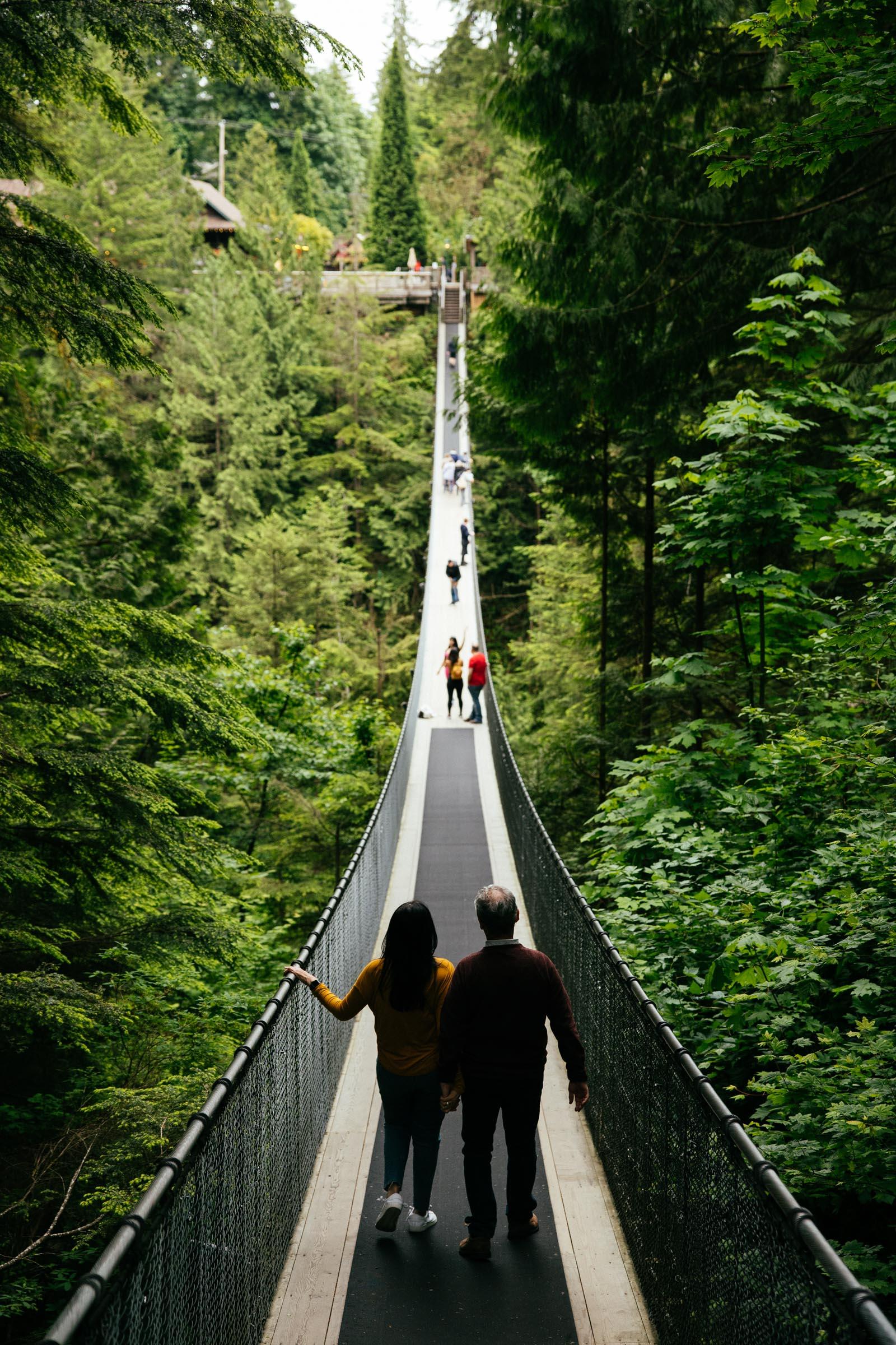 Vancouver North Shore & Capilano Canyon Lights Explorer