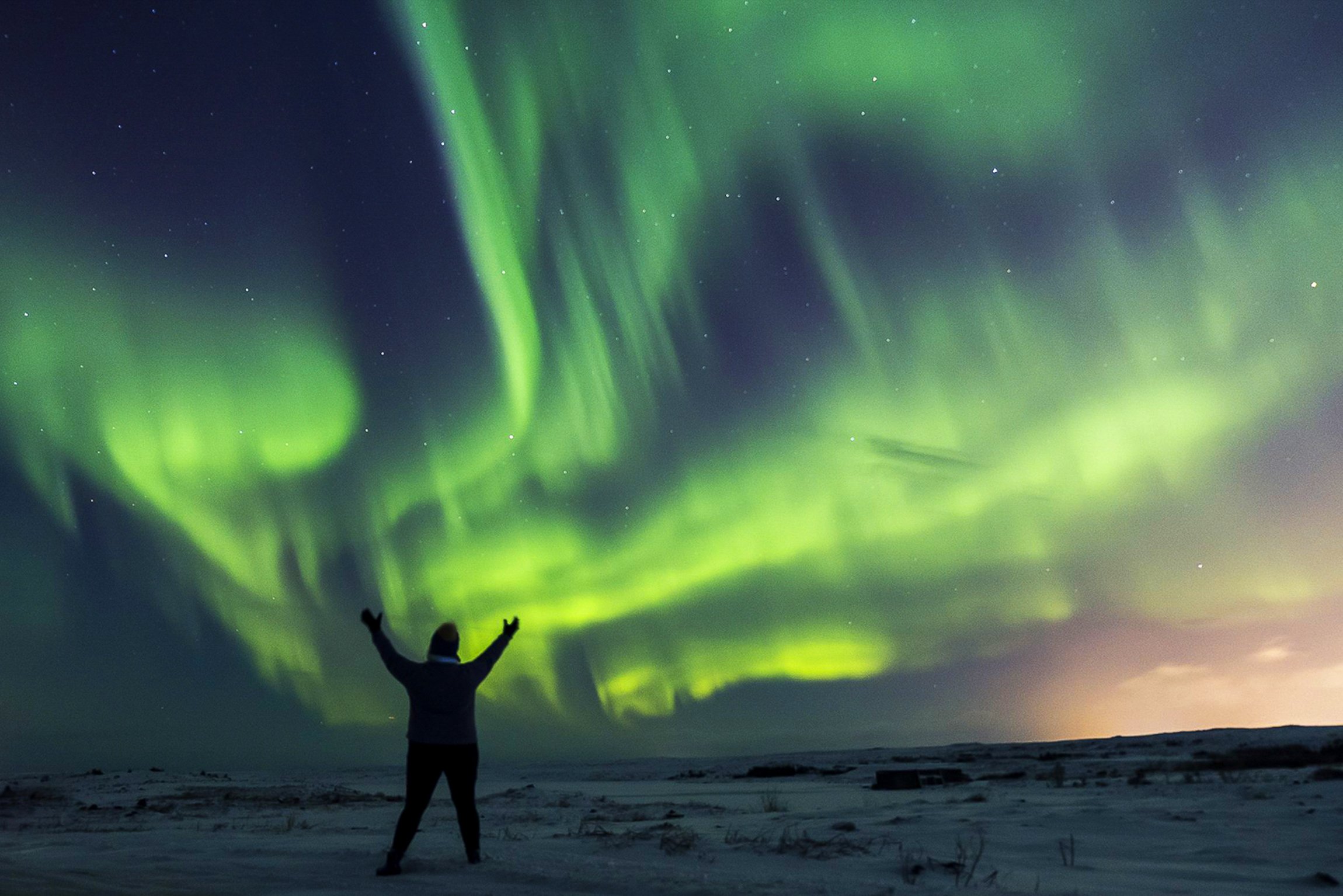 Reykjavik: Northern Lights Bus Chase with Hot Cocoa