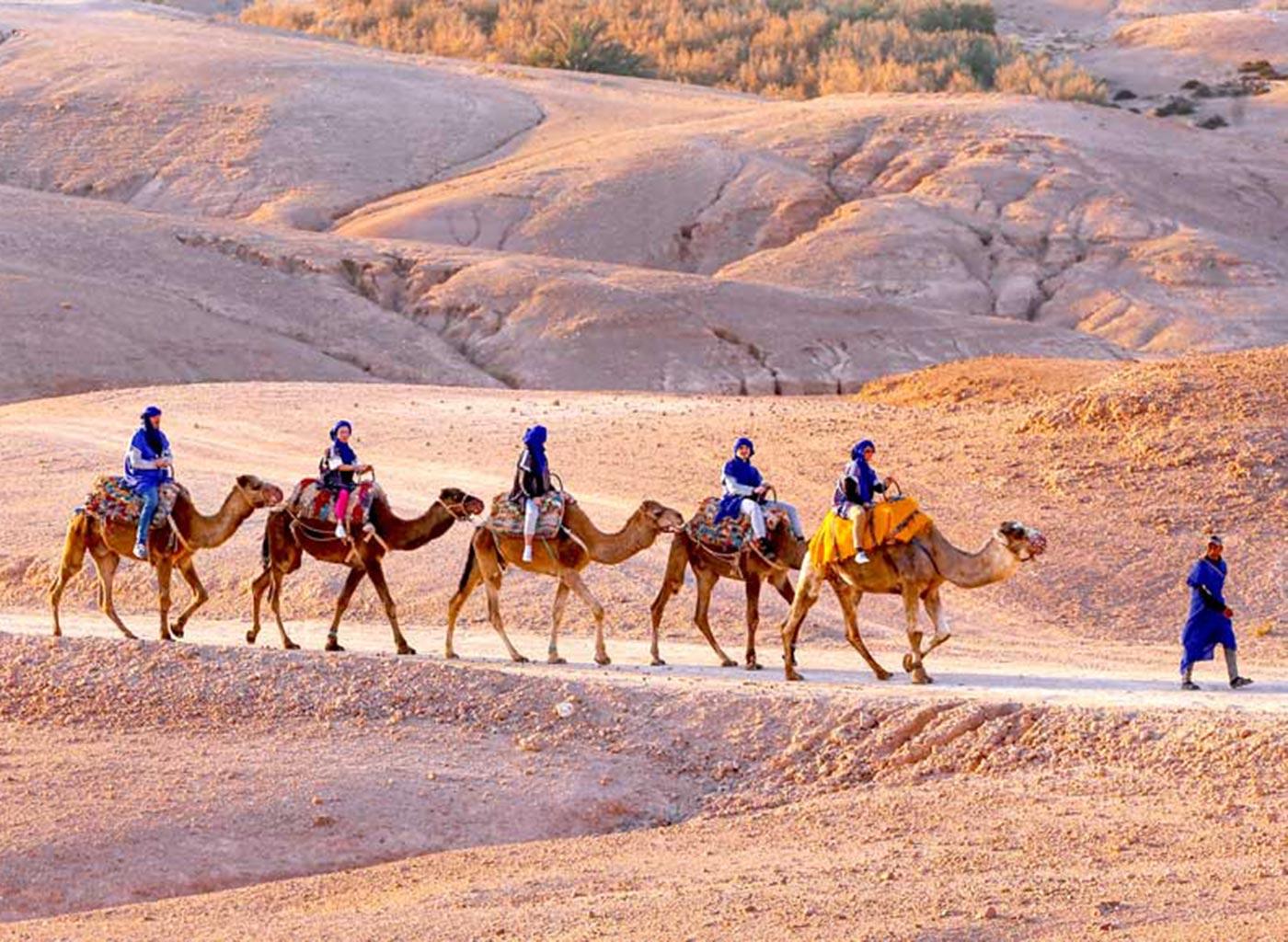 Atlas Mountains Adventure with Camel Trek & Berber Villages
