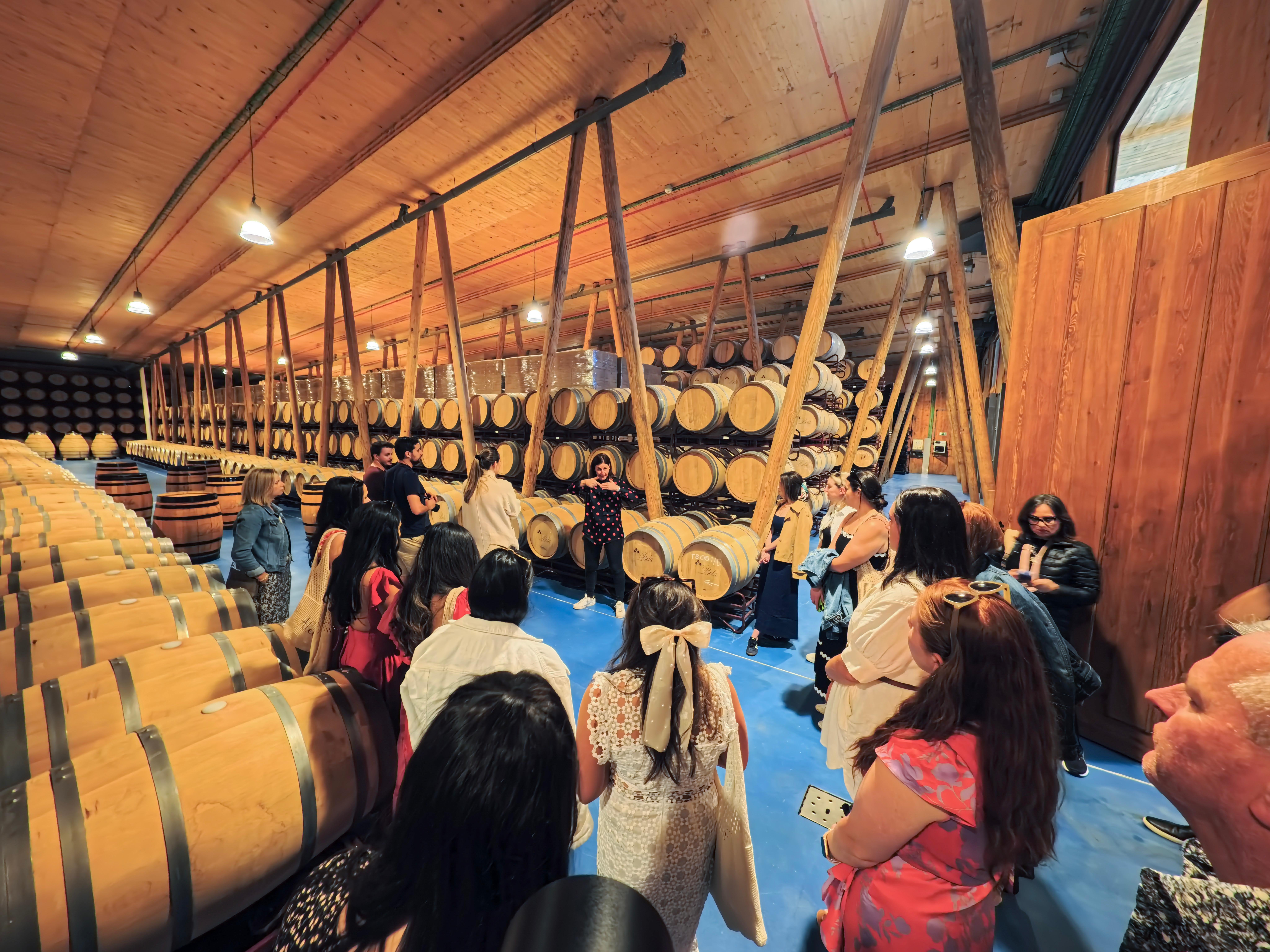 wine tour in Ribera del Duero — photo 27