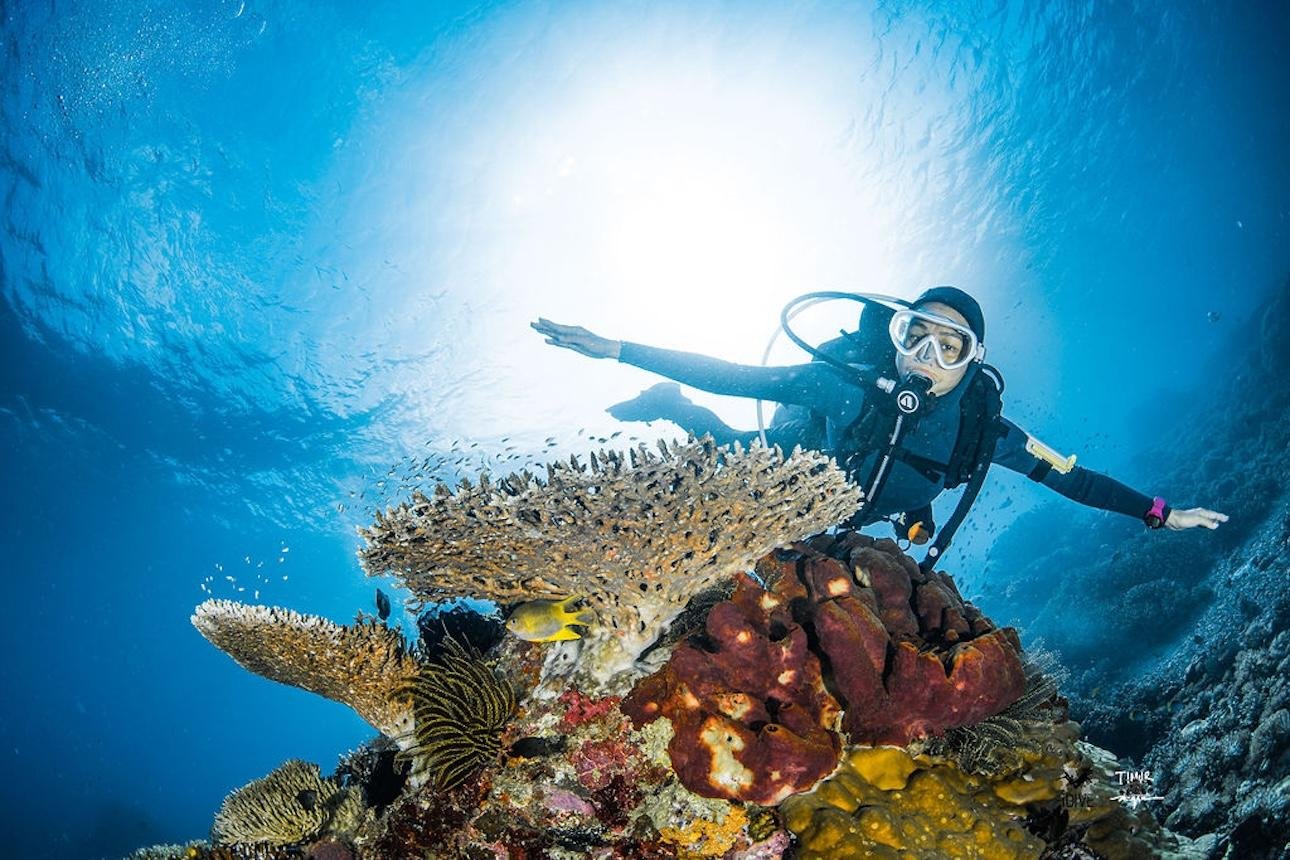 Komodo Full-Day Diving Trip for Certified Divers