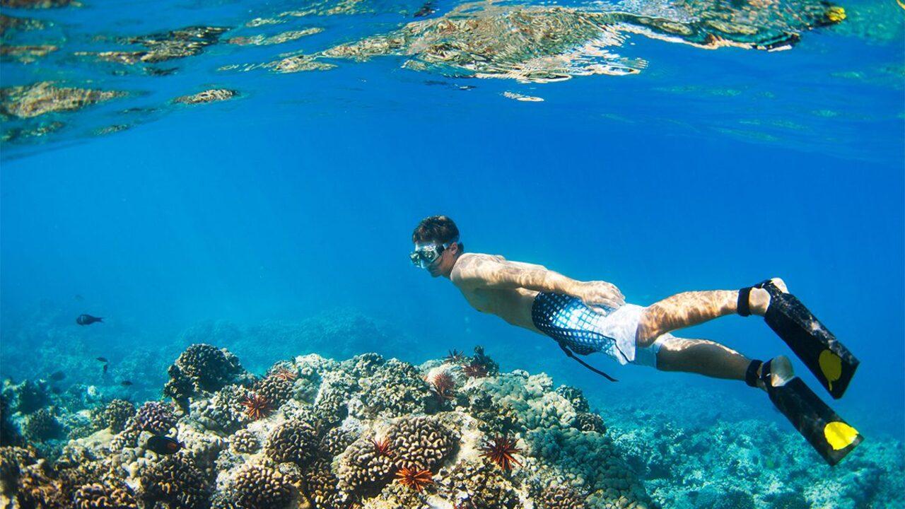 Menjangan Island Snorkeling Day Trip from Banyuwangi