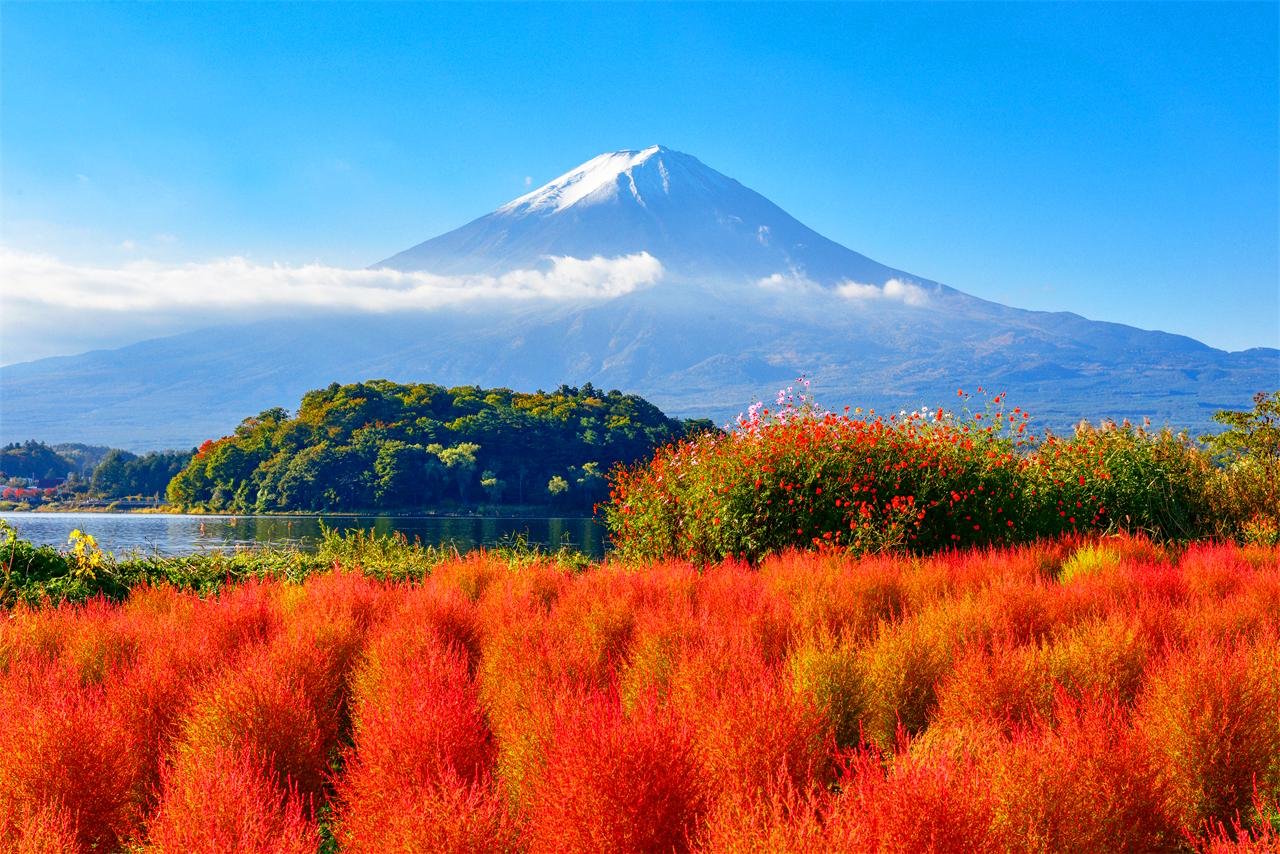 Mt. Fuji Heritage & Culture Day Trip
