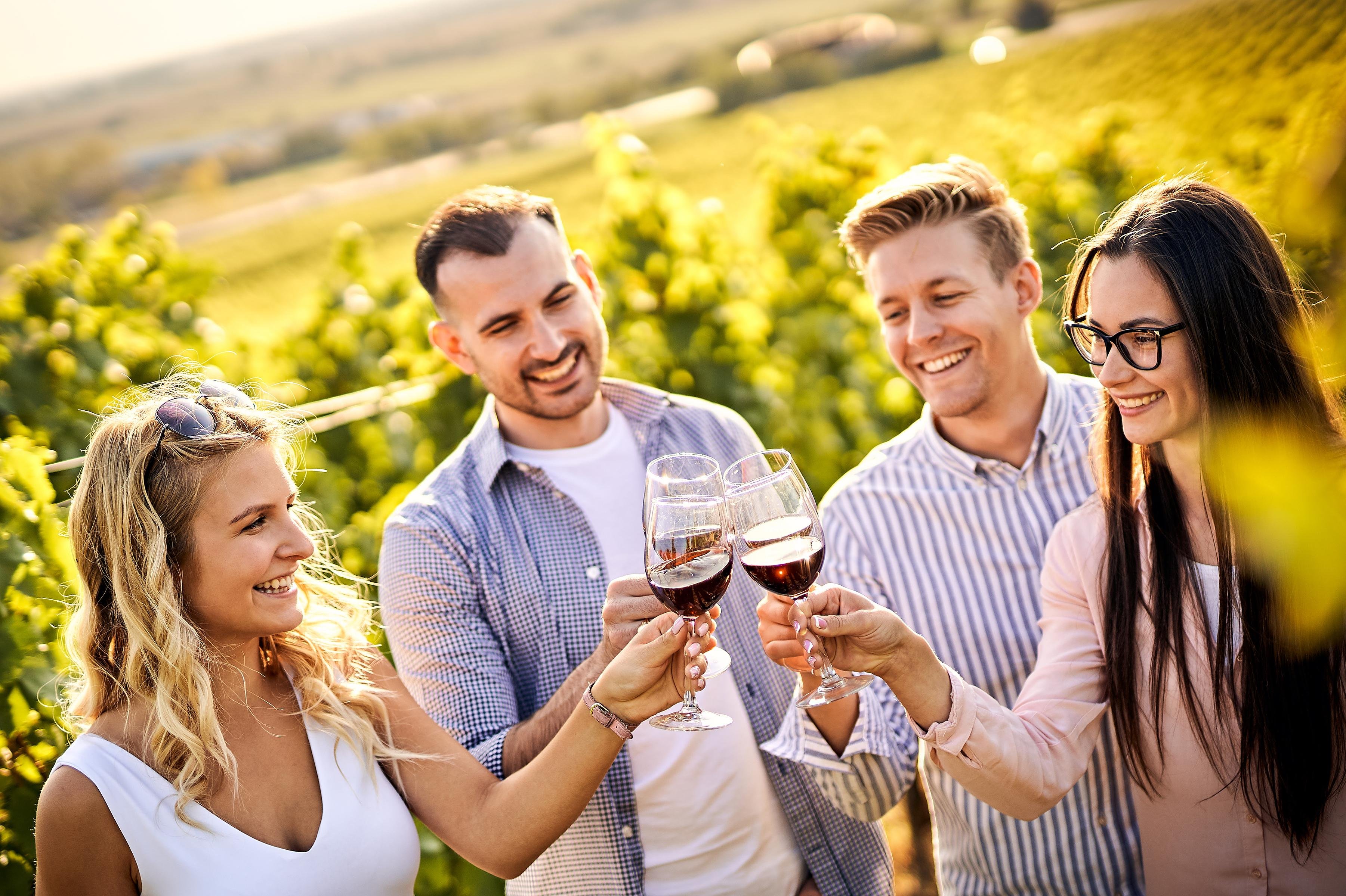Santiago: World-class Wines, Visit to 4 Vineyards and Tanino - Valparaíso and Casablanca Valley wine tour