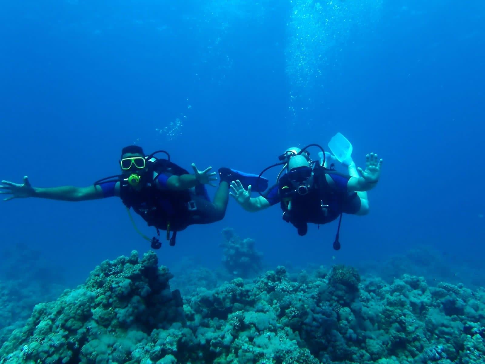 Sharm El Sheikh: White Island & Ras Mohamed Full-Day Sailing Adventure