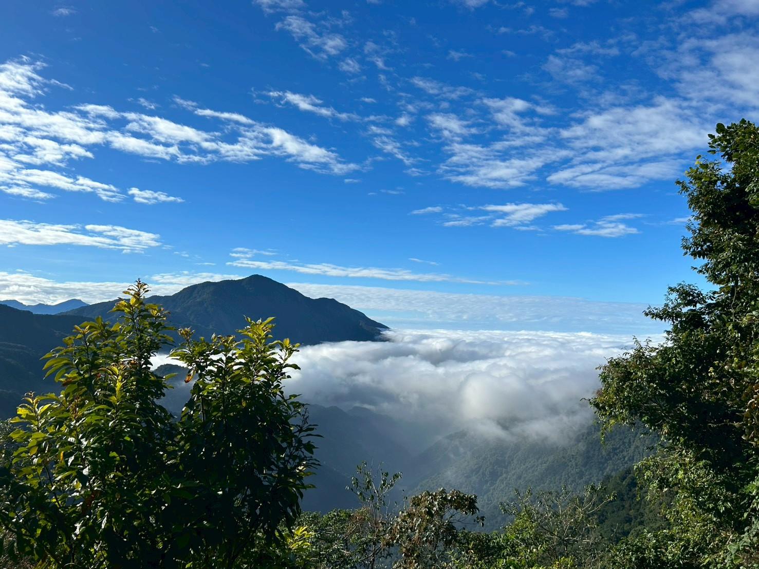 Alishan Hidden Trails: Tsou Culture & Fenqihu Day Tour